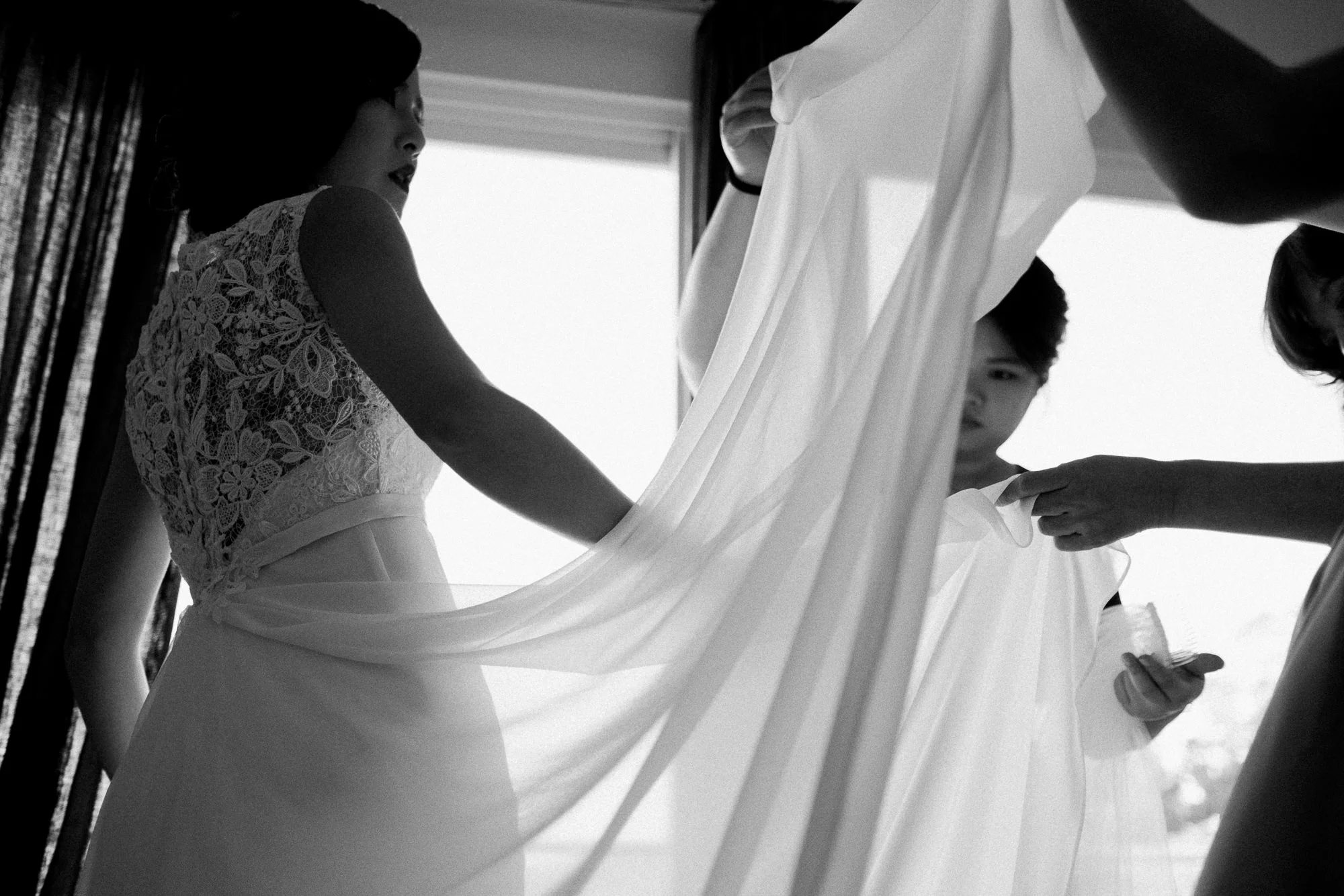 Shelldance Orchid Gardens Wedding 009.jpg