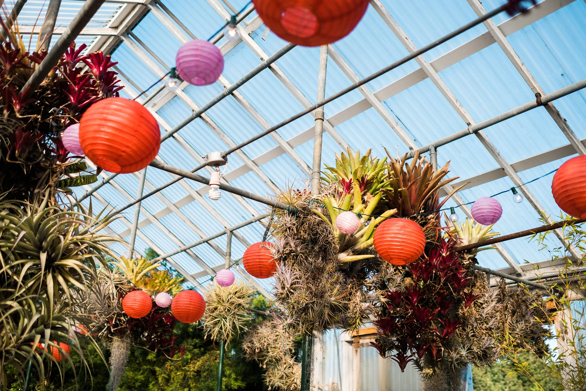 Shelldance Orchid Gardens Wedding 060.jpg