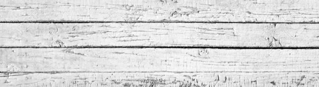 5981956-verwitterte-lackiert-weiß-holzbrett--Standard-Bild.jpg