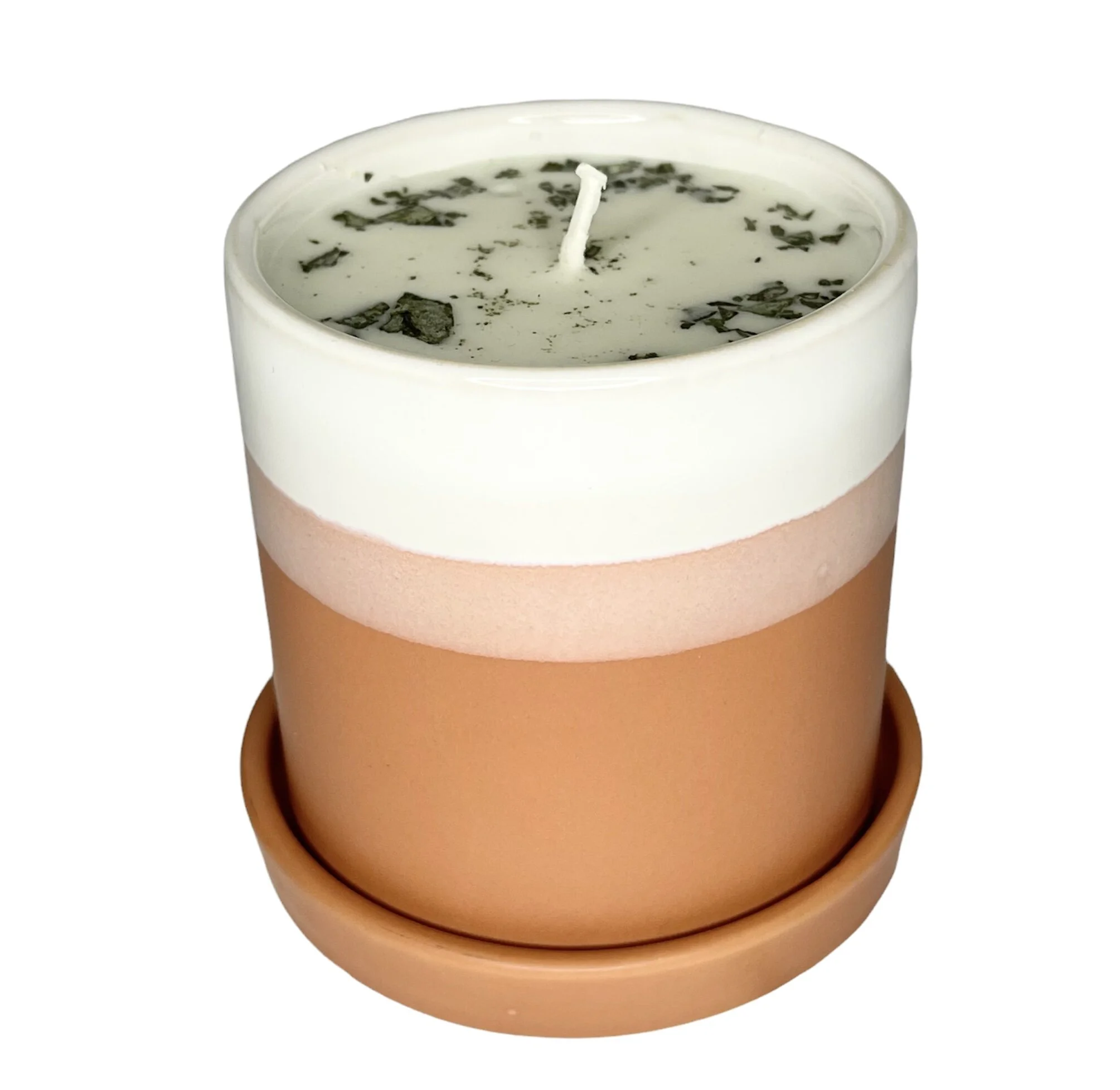 C8DDA12B-F696-4868-ACB0-C07938991004