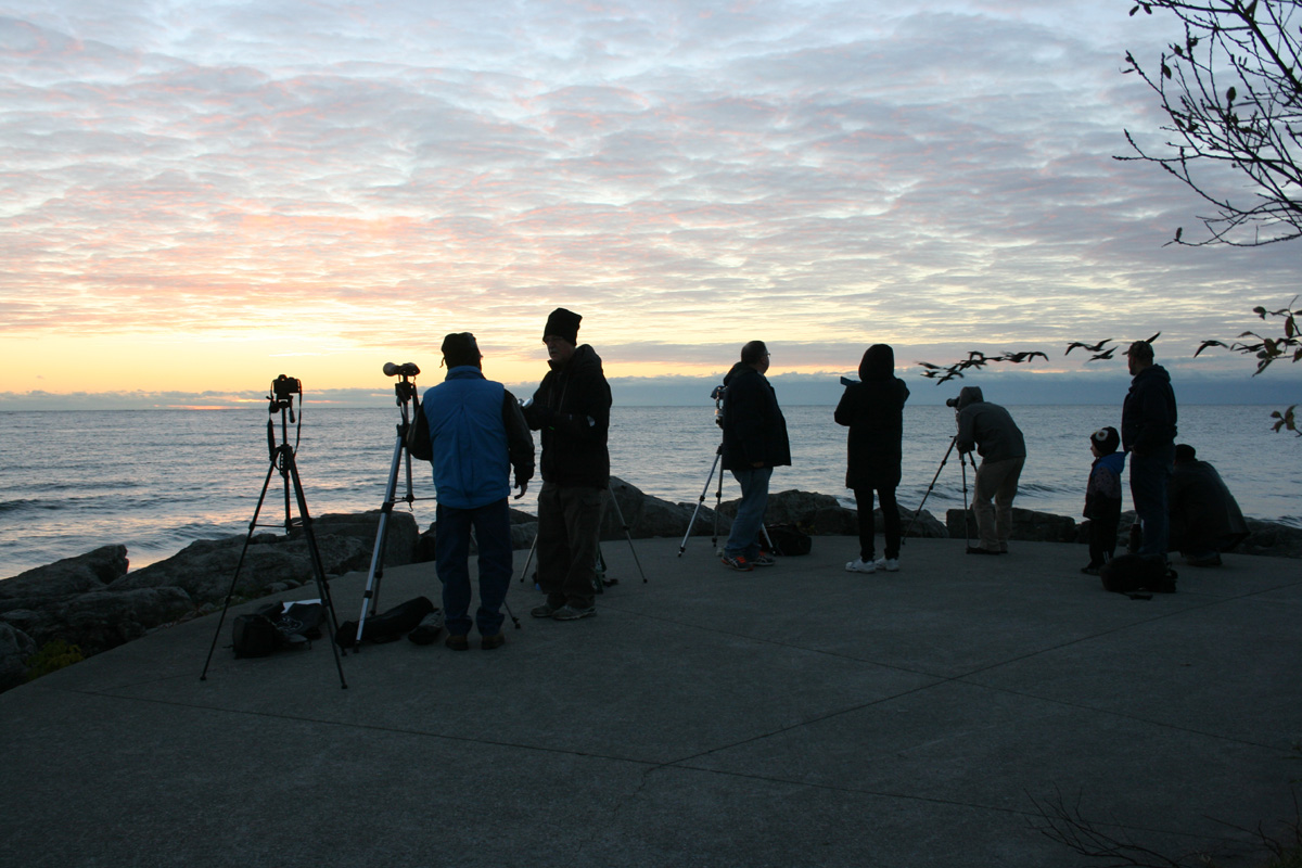 Waiting for sunrise at Jack Darling Park, Mississauga. Photo by Liz Malicki
