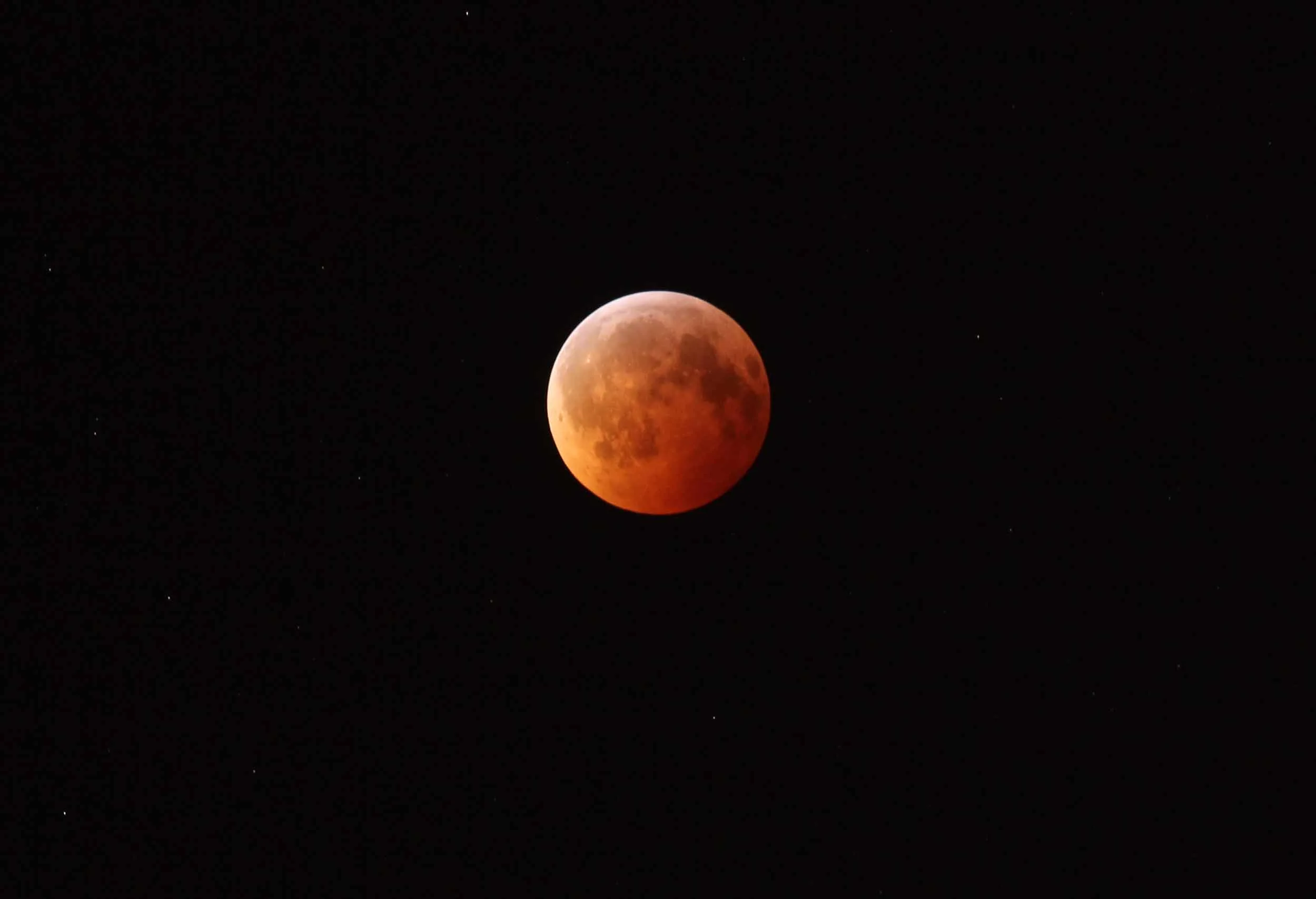 The December 2010 Total Lunar Eclipse. Photo by Randy Attwood