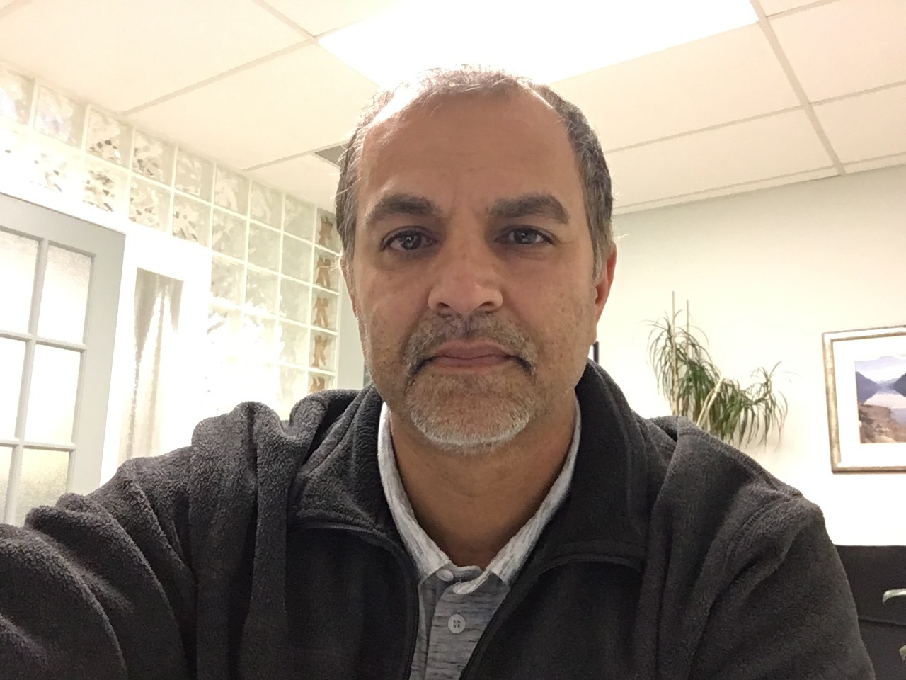 David Dev
