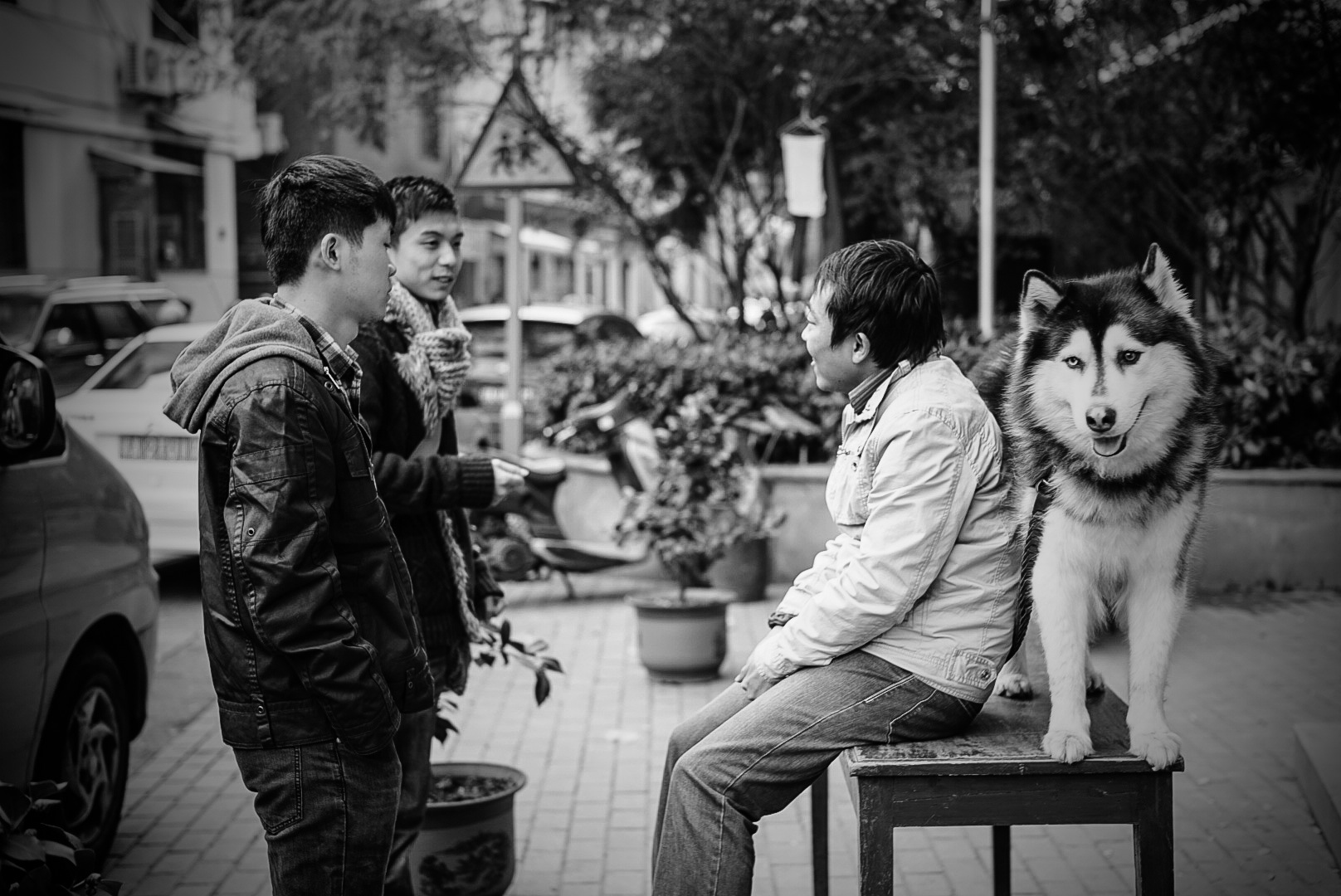 All rights Reserved©