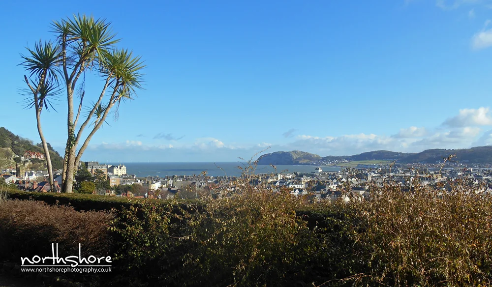 Llandudno-view-picture.jpg