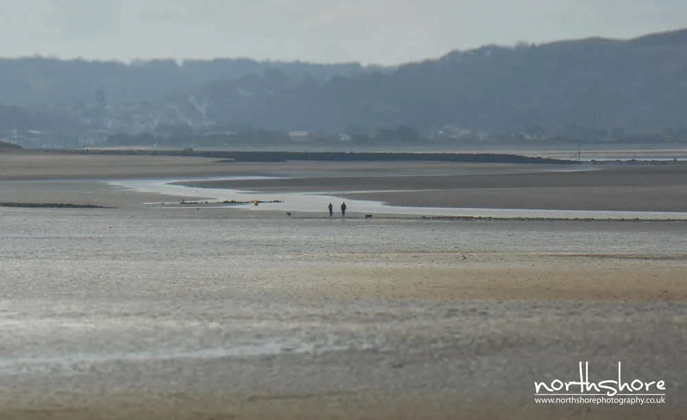West-Shore-picture.jpg