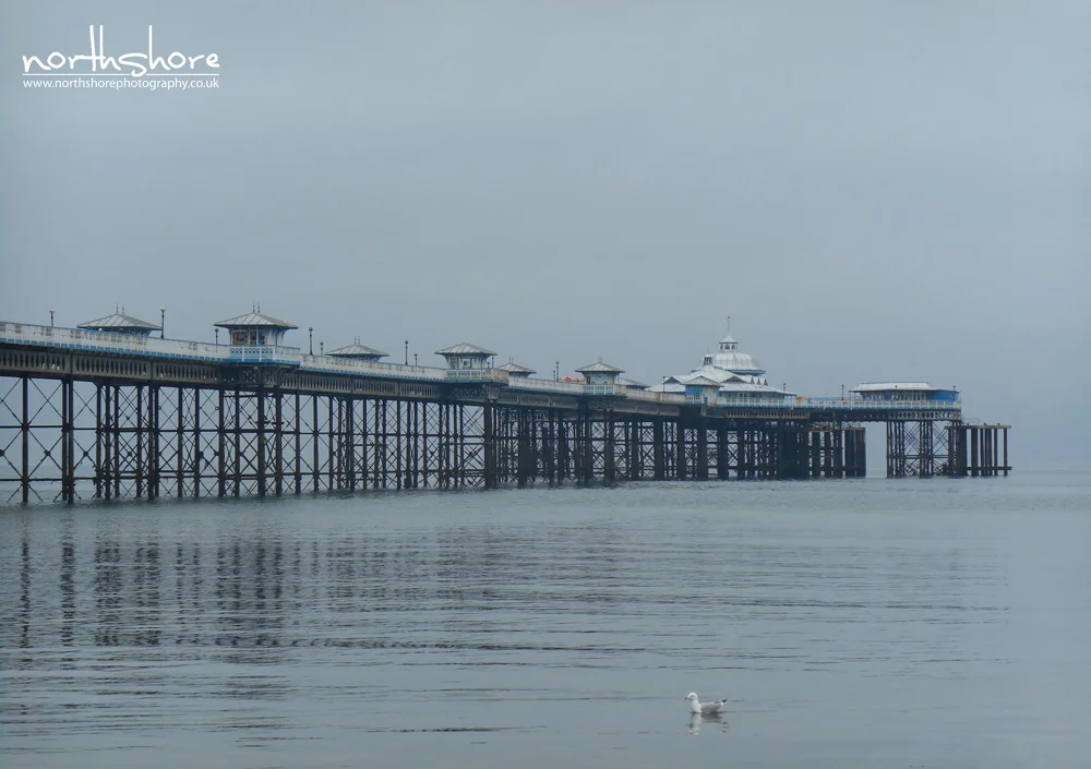 Pier-Llandudno-picture8.jpg