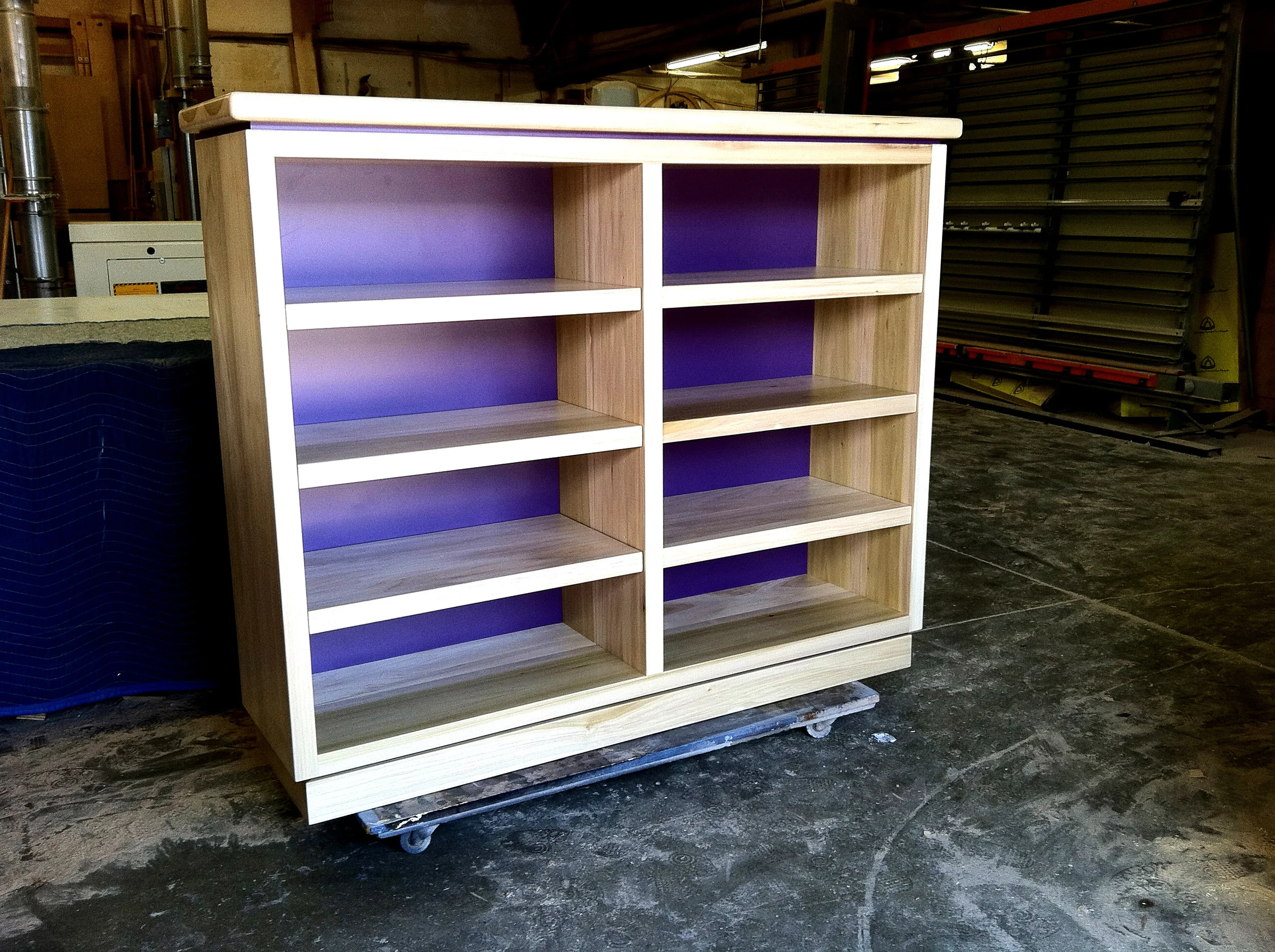 purplebackbookcase.jpg