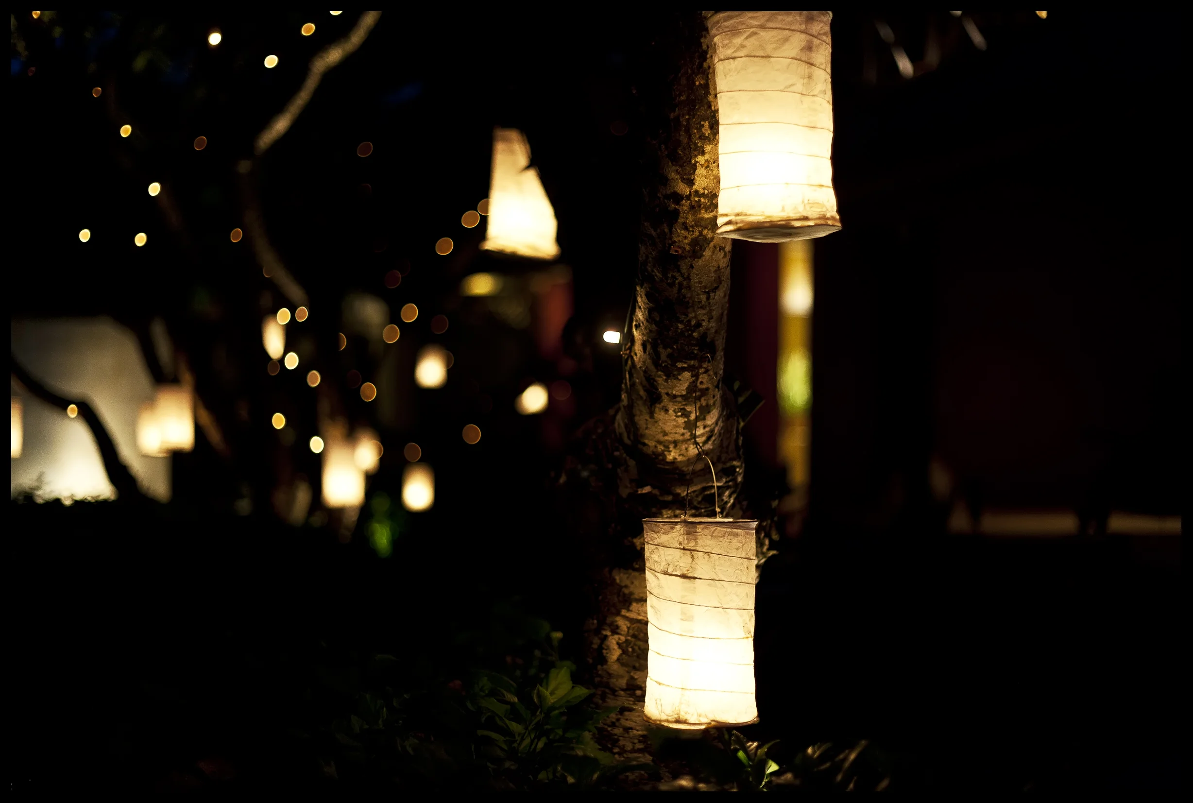 lanterns 1 - Copy.jpg