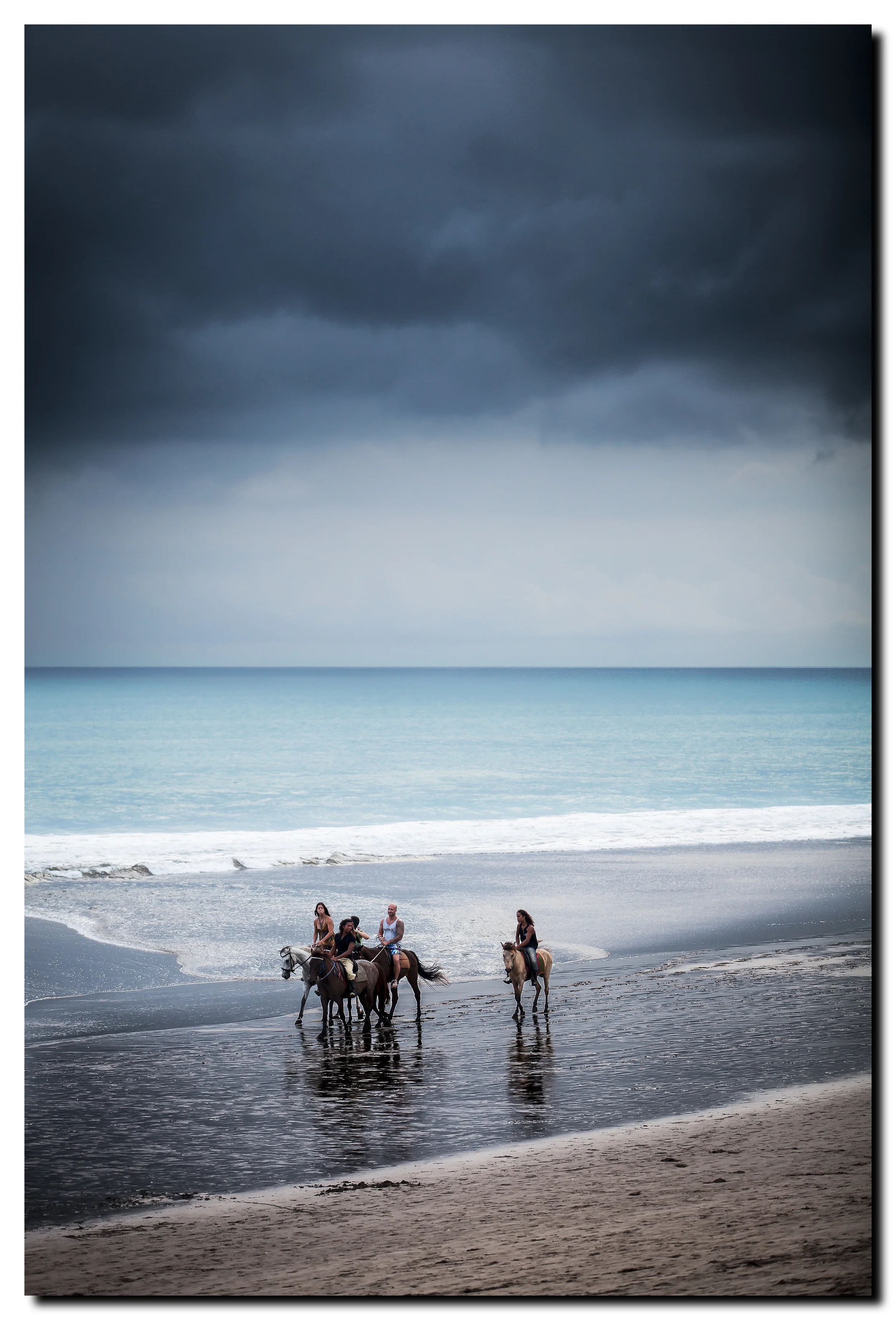 horses seminyak.jpg
