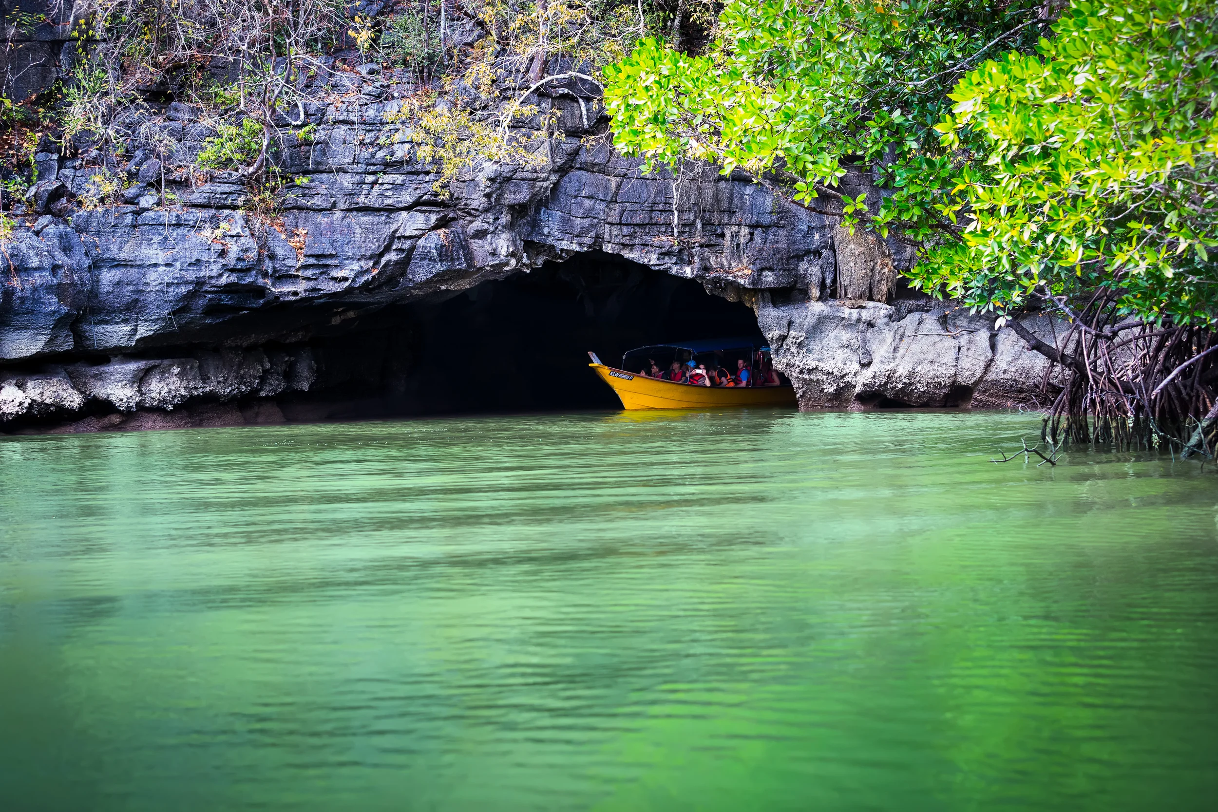 A32A6486 in cave mangroves 2Lankawi.jpg