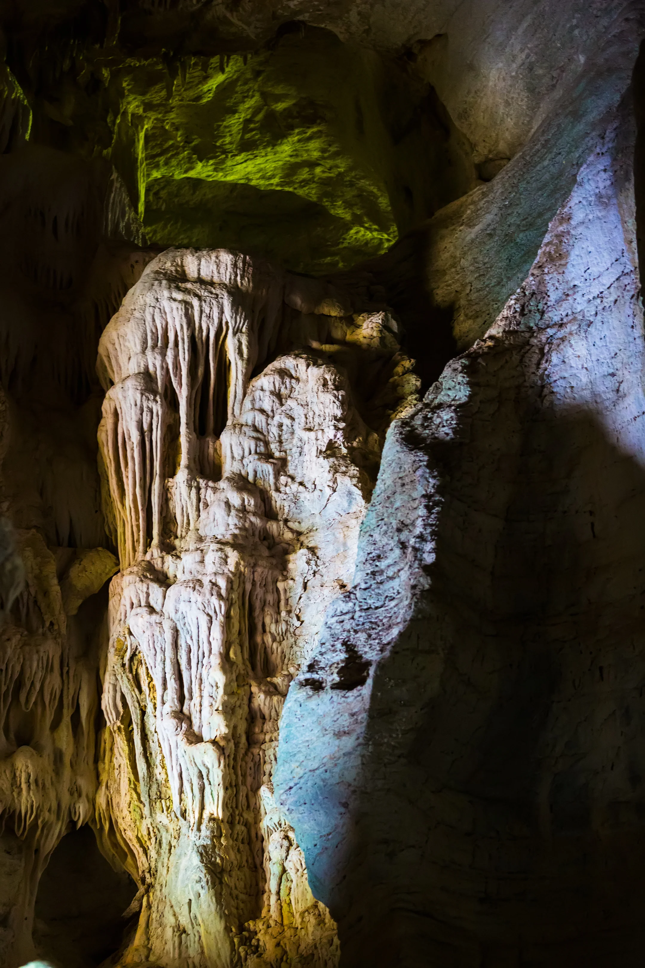 A32A6486 in cave mangrovesLankawi.jpg