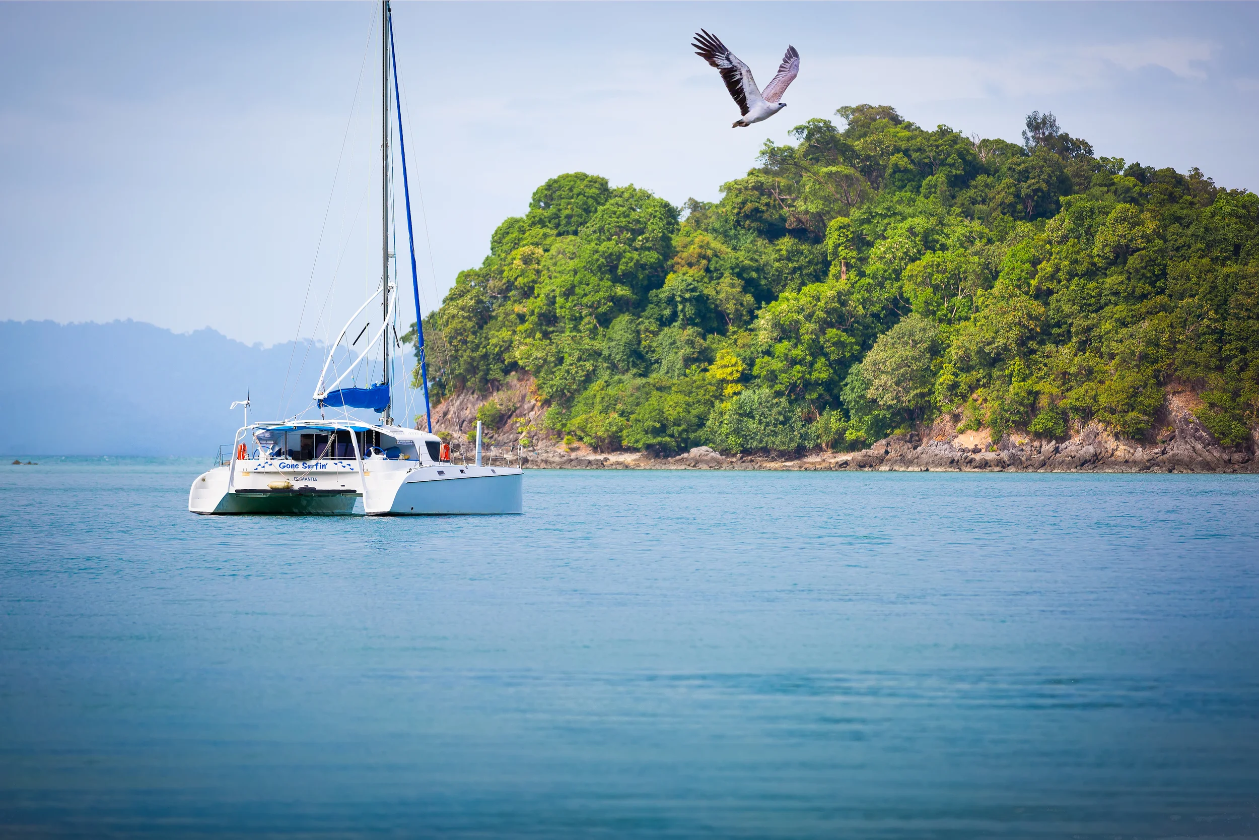 A32A6178 eagle and boat eagle blurLankawi.jpg