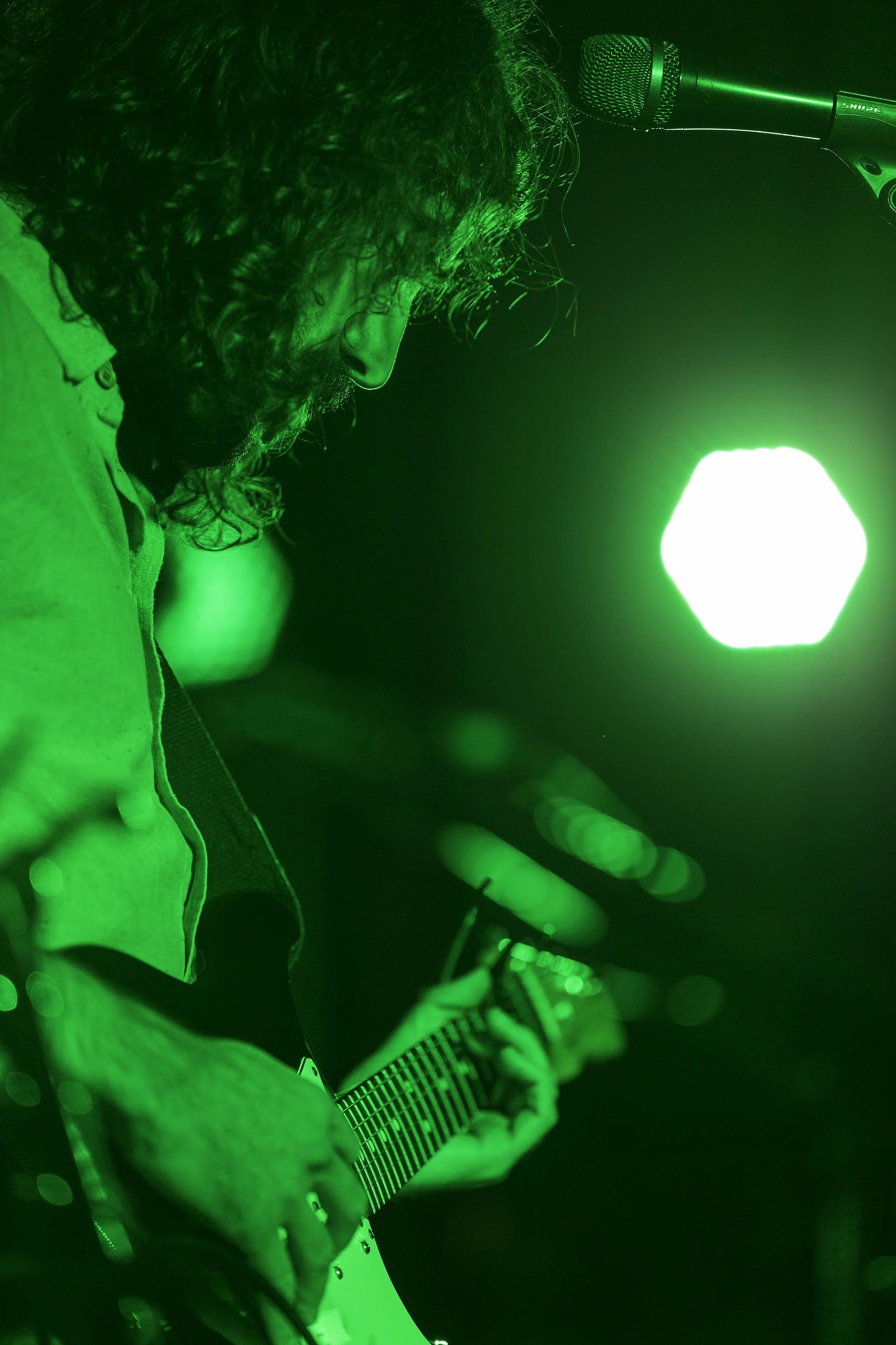 The Paper Kites