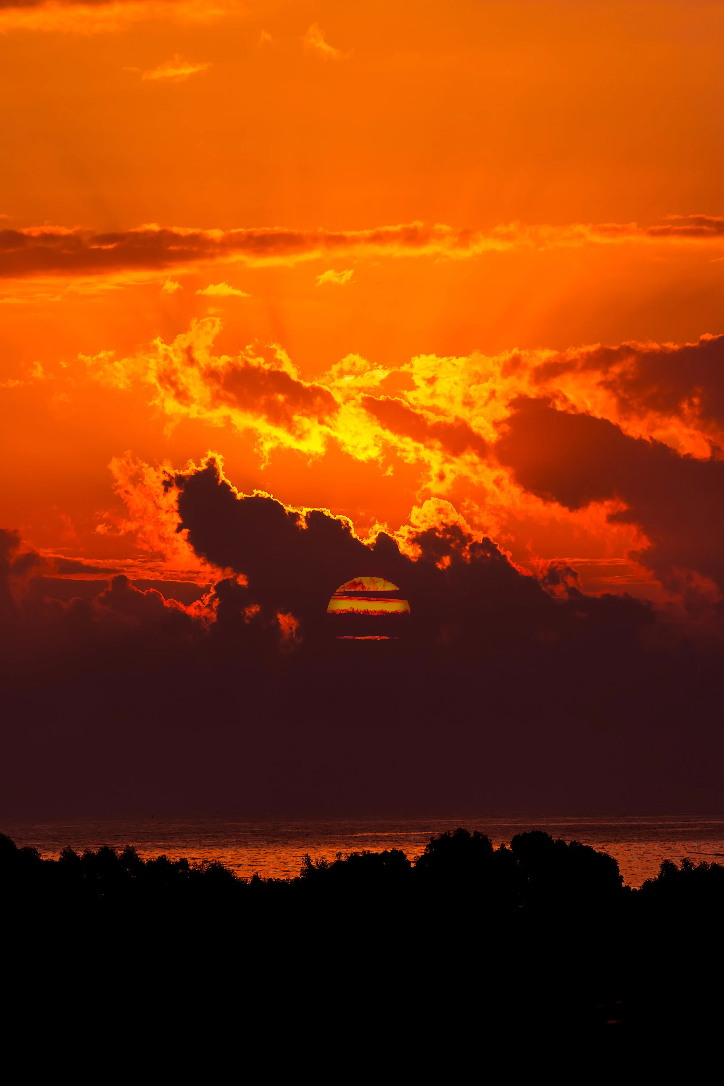 2013-09-02565A9538-Edit (small jpeg).jpg
