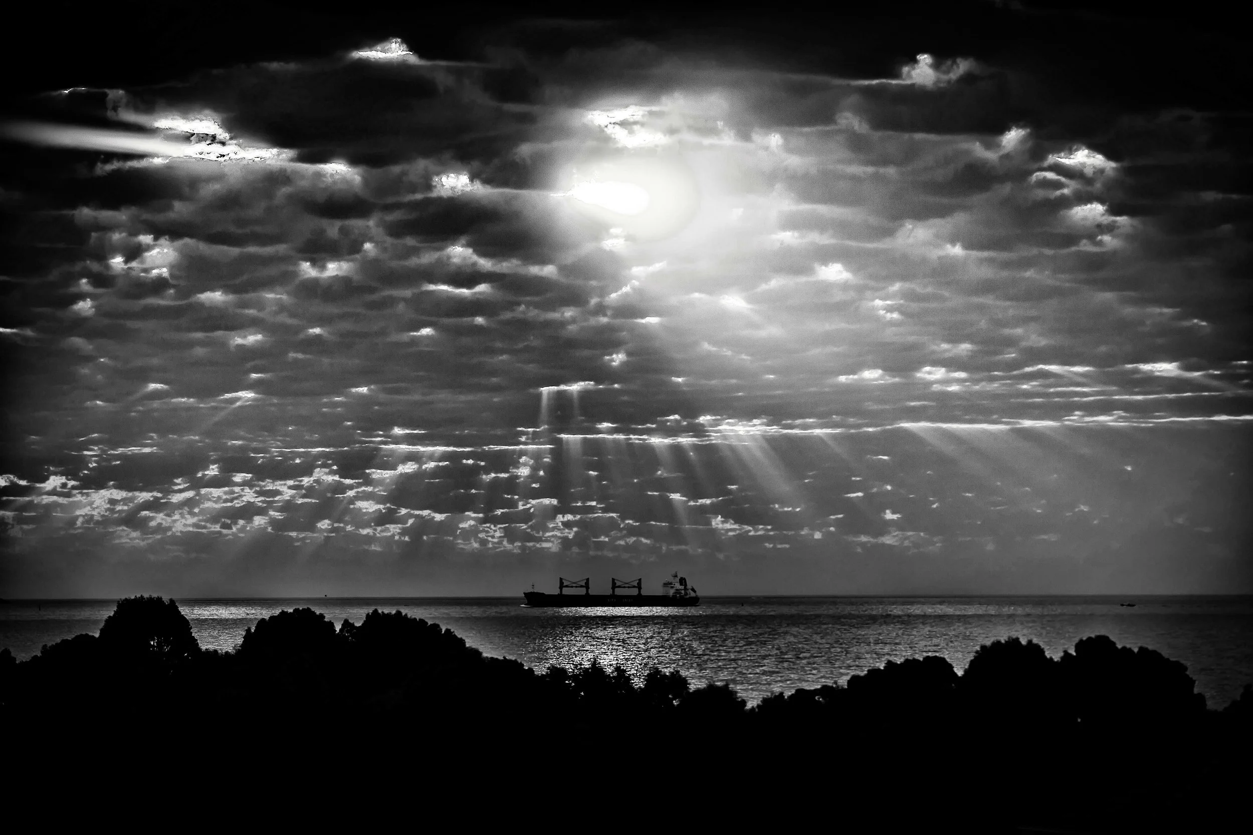 First warm Spring Day 2012_2012-4 B&W (small jpeg).jpg
