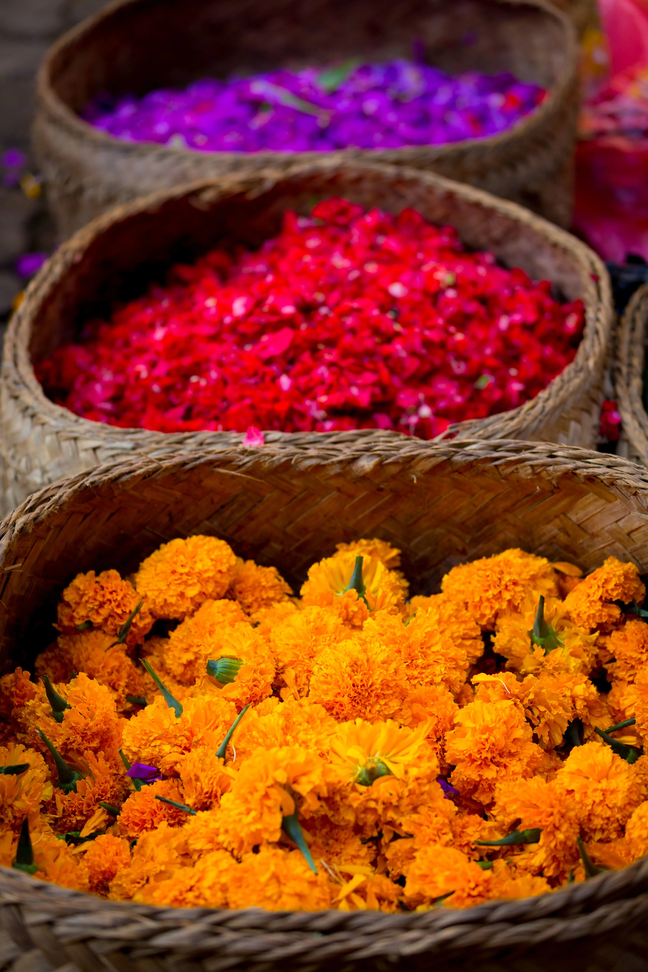 Bali 2015-7545.jpg