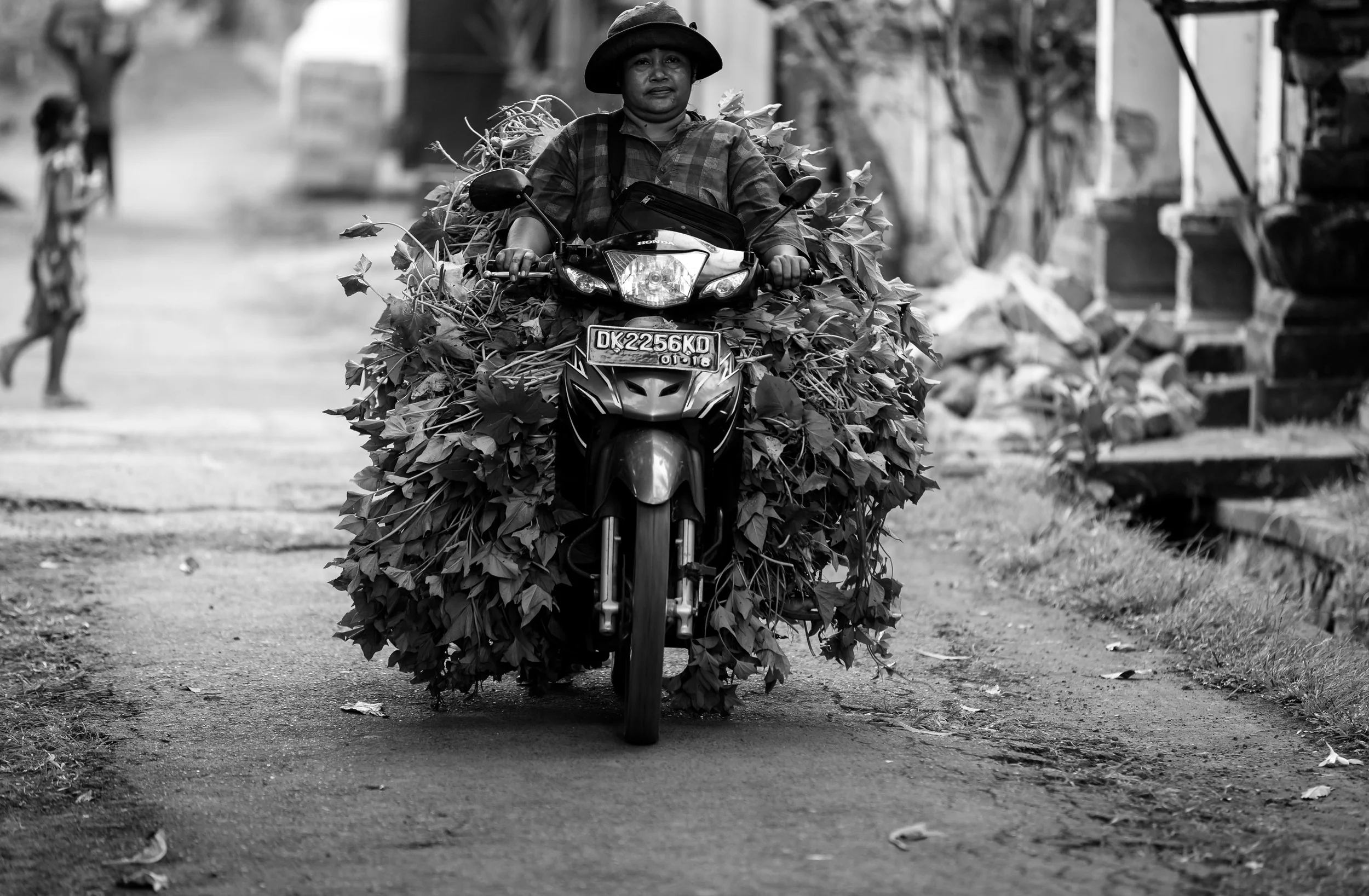 Bali 2015-7738.jpg