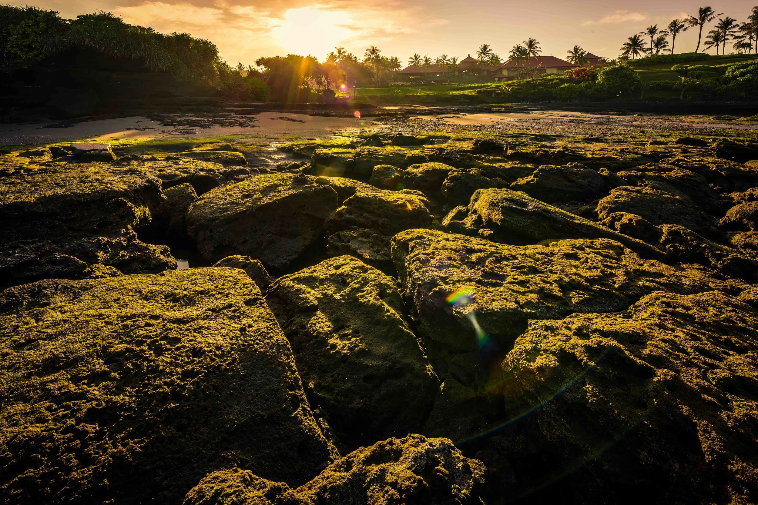 Bali 2015--36.jpg