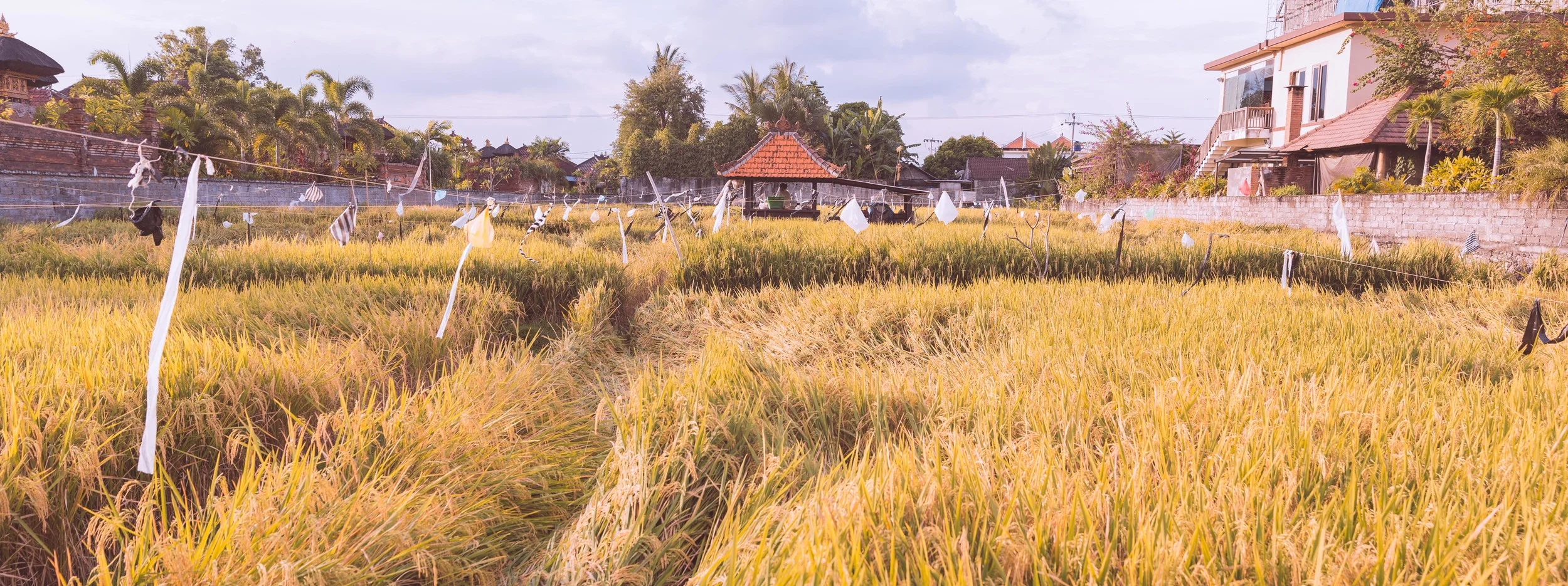 Bali 2015--41.jpg