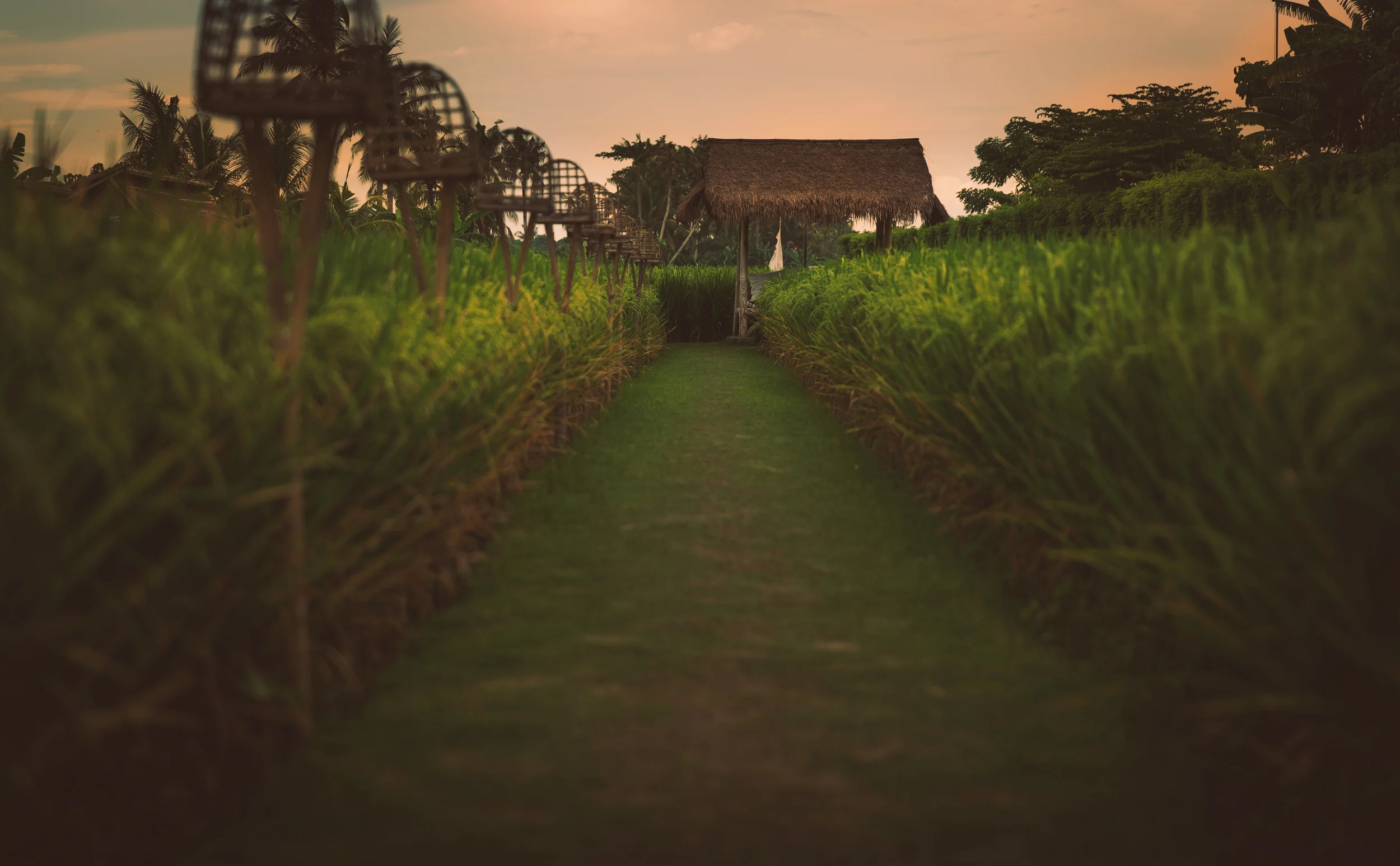 Bali 2015--38.jpg