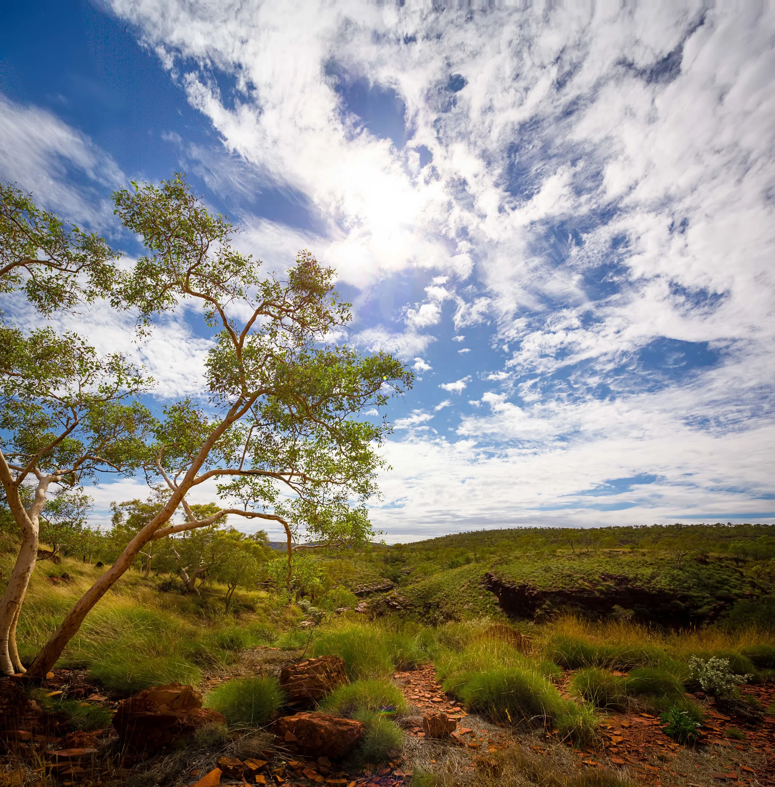 Karijini--3.jpg