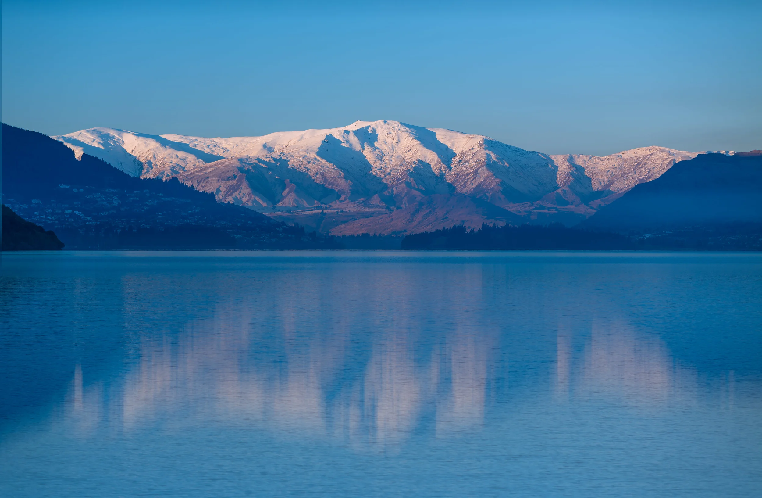 Matakauri-.jpg