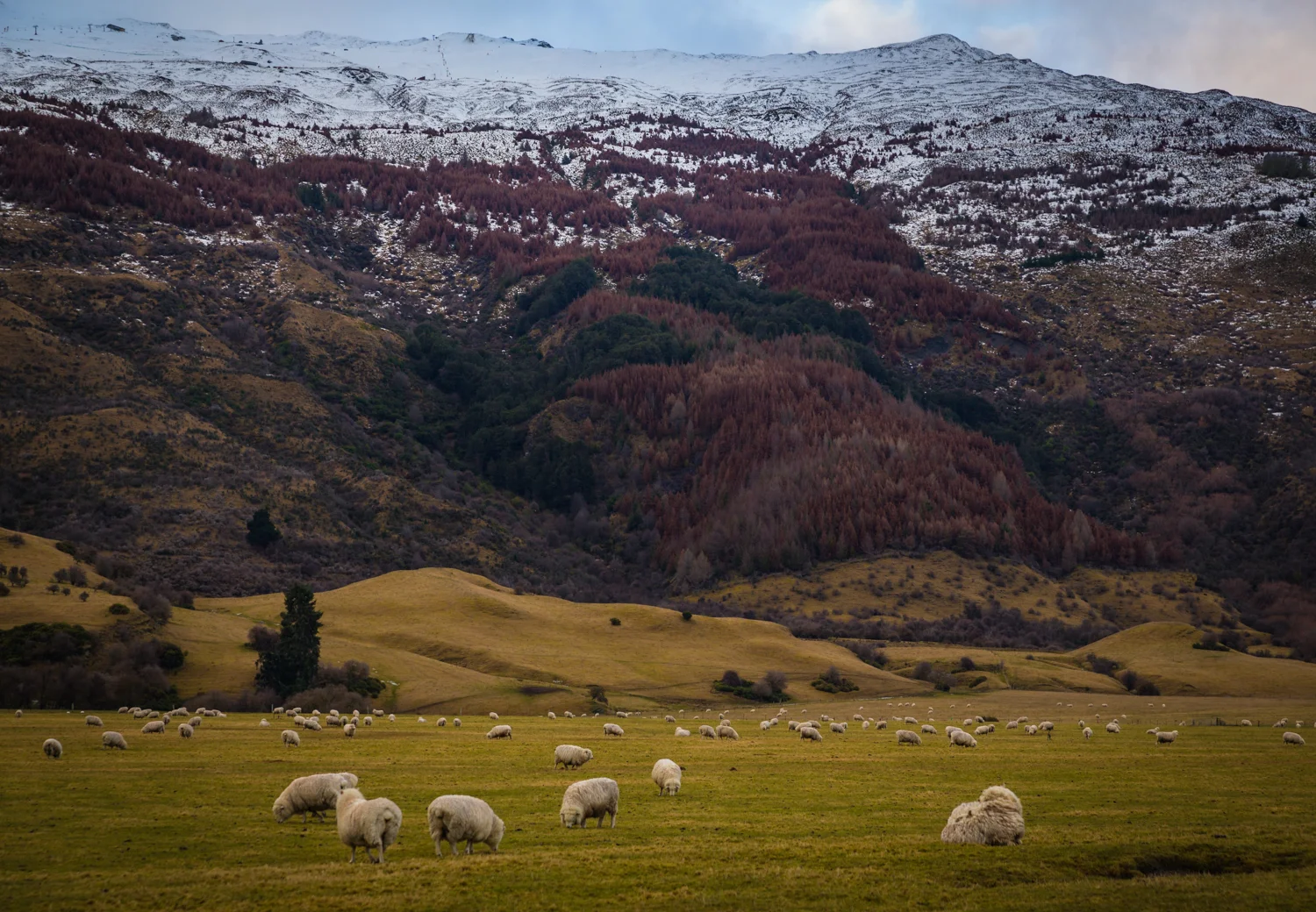 landscape-4274.jpg