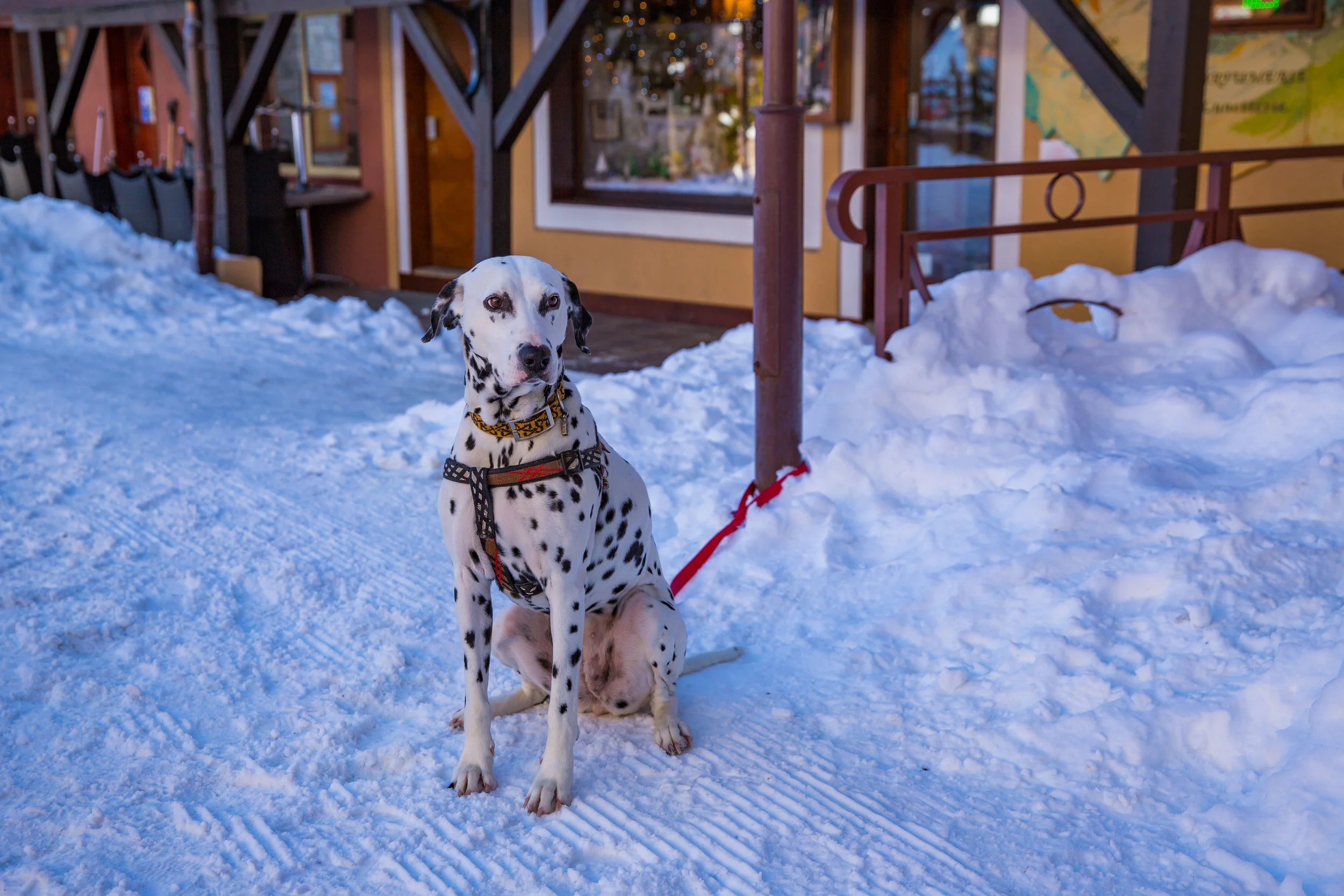 Club Med Valmorel -9988.jpg