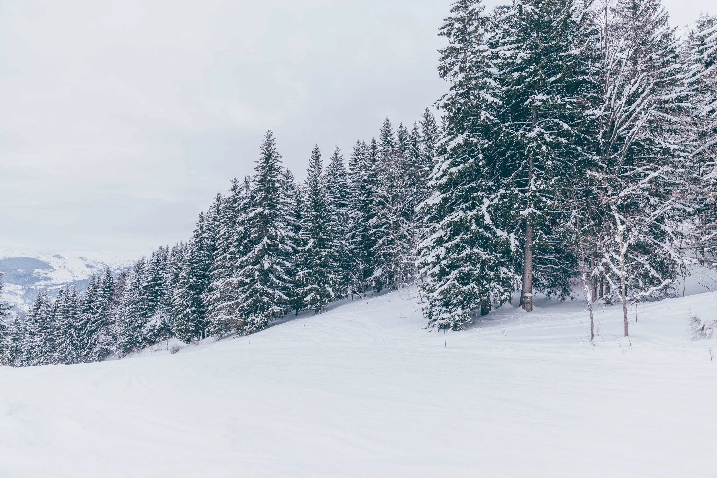 Club Med Valmorel -8892.jpg