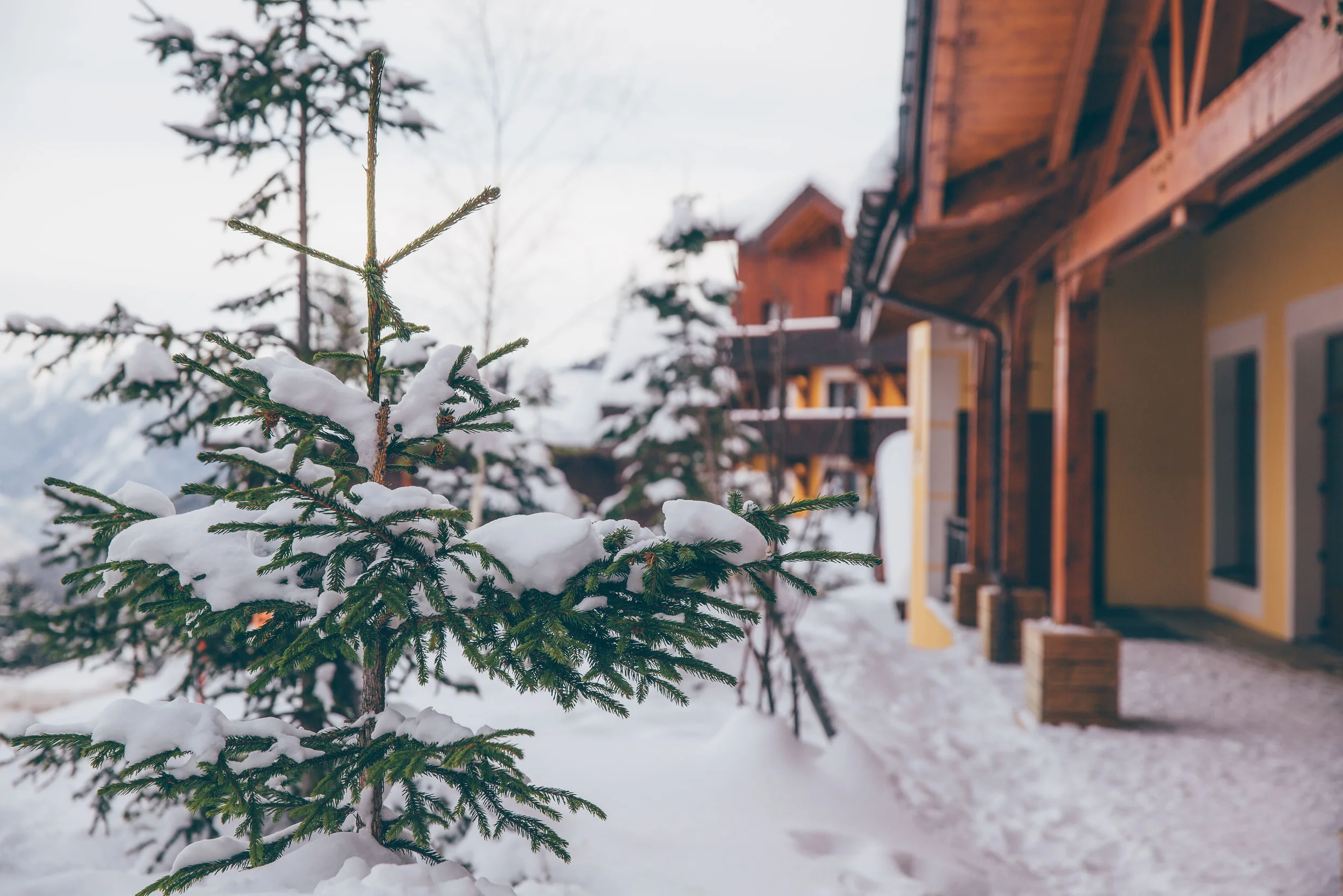 Club Med Valmorel -9177.jpg