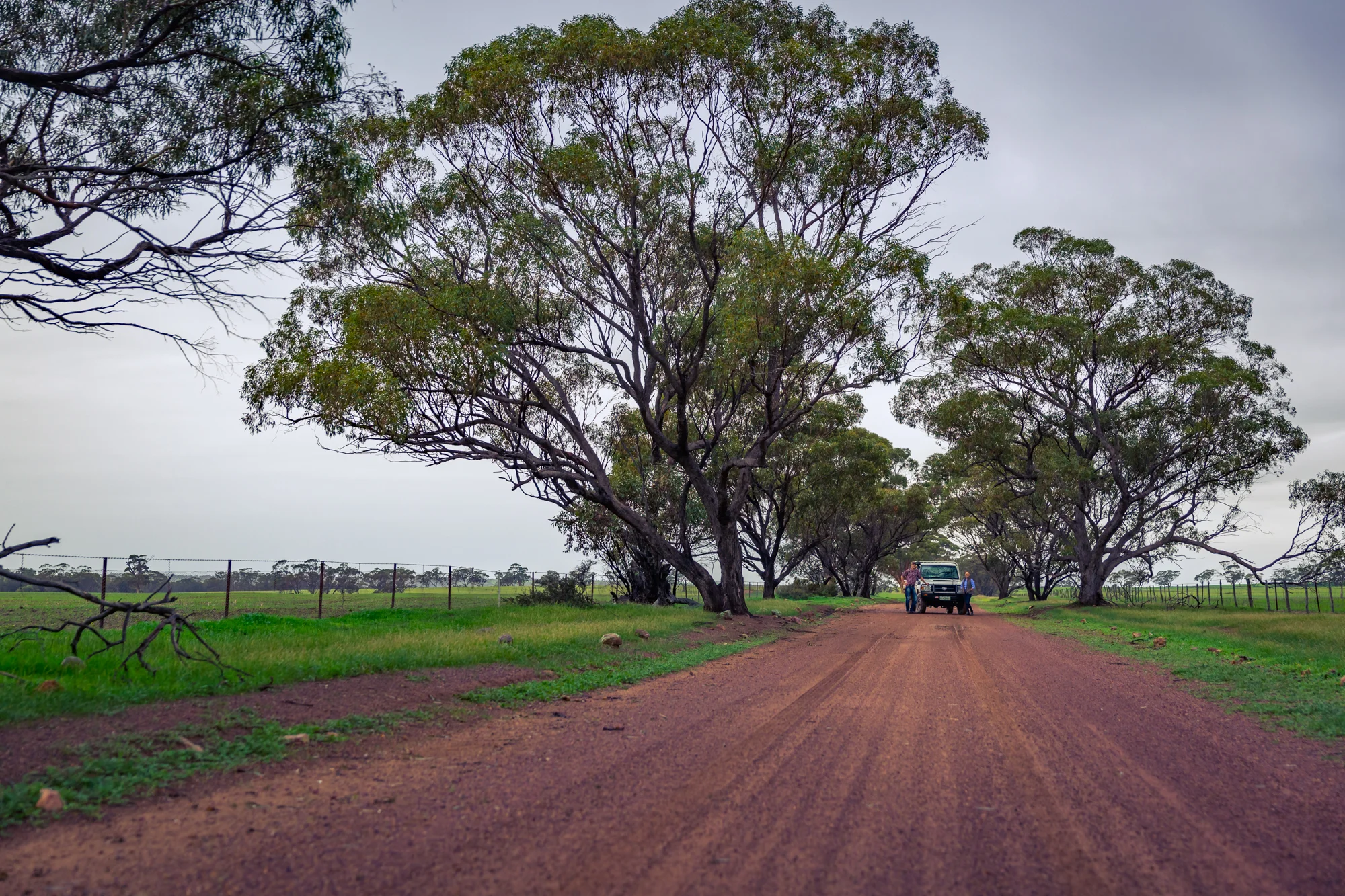 A32A8961-HDR.jpg