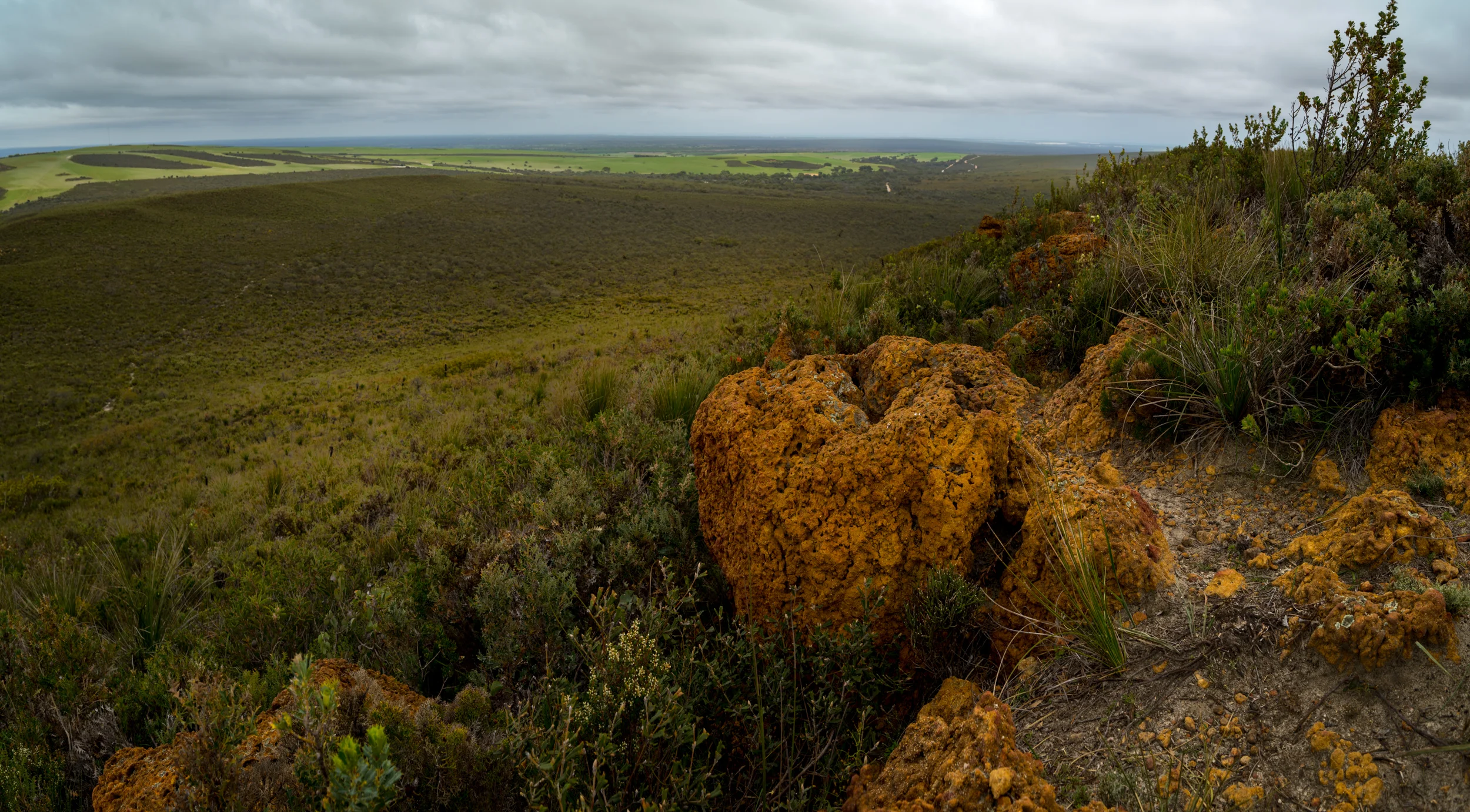 IMGP1313-Pano.jpg