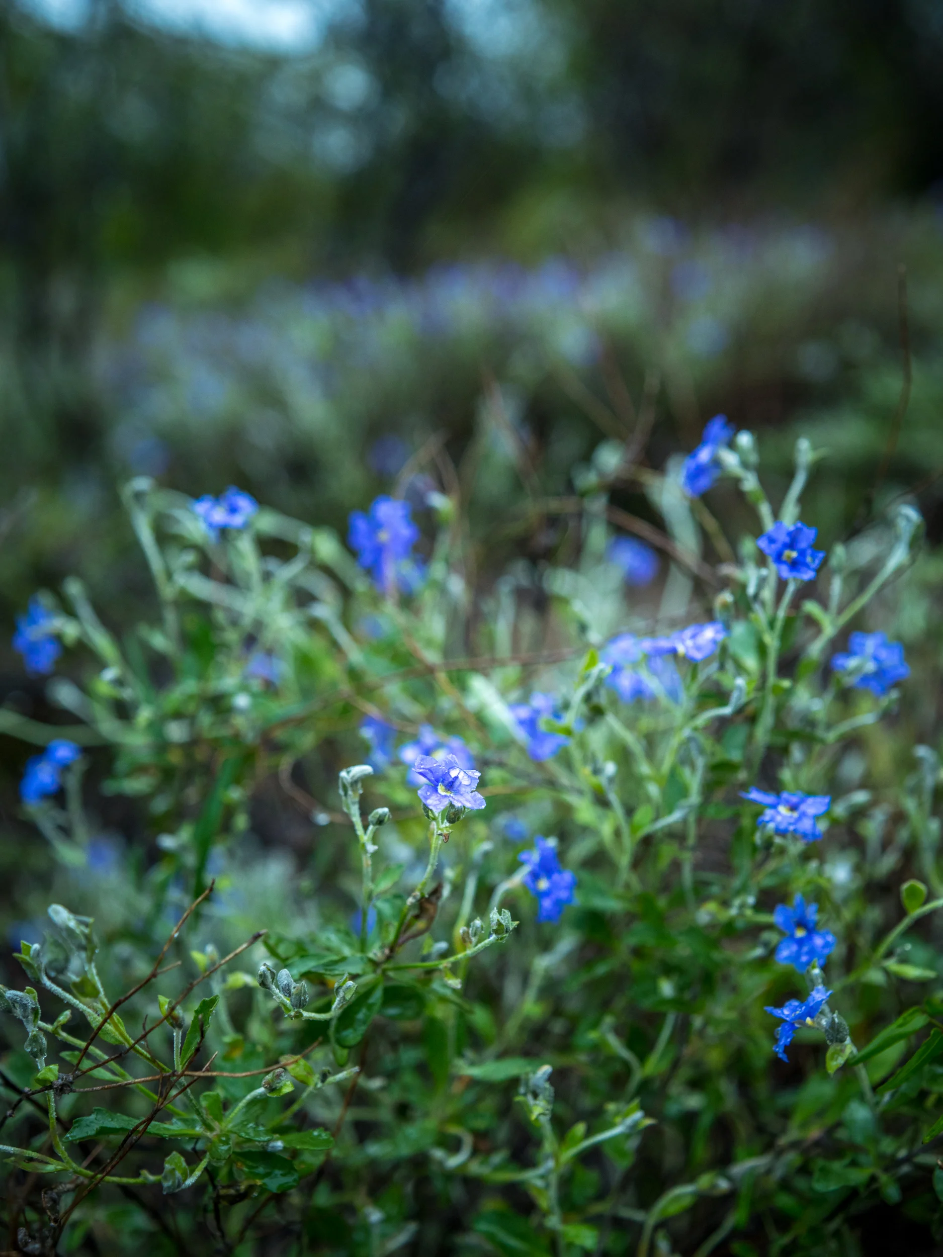 20150307-IMGP1388.jpg