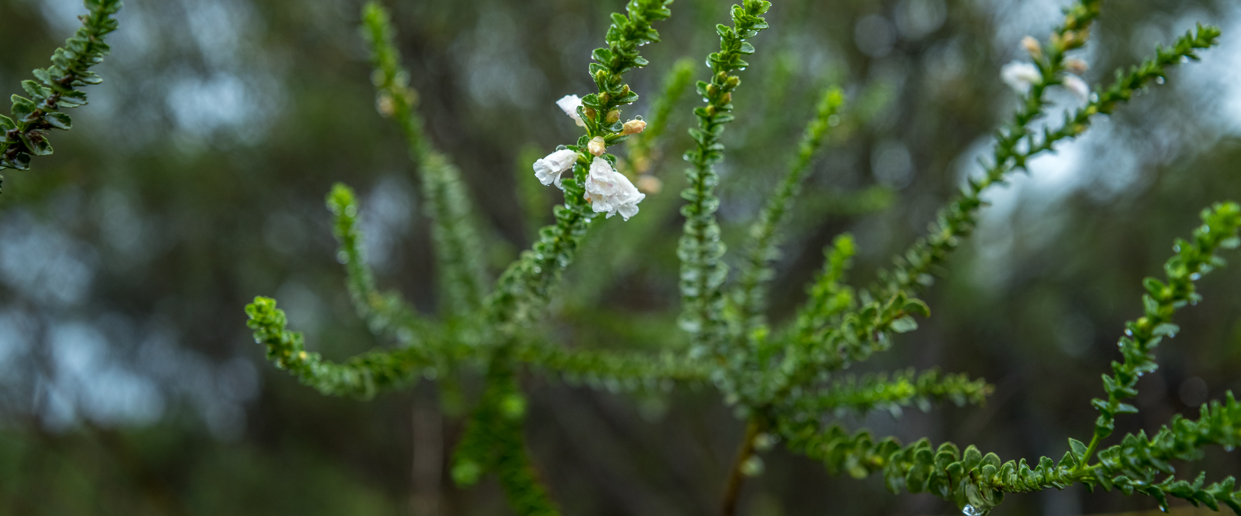 20150307-IMGP1360.jpg