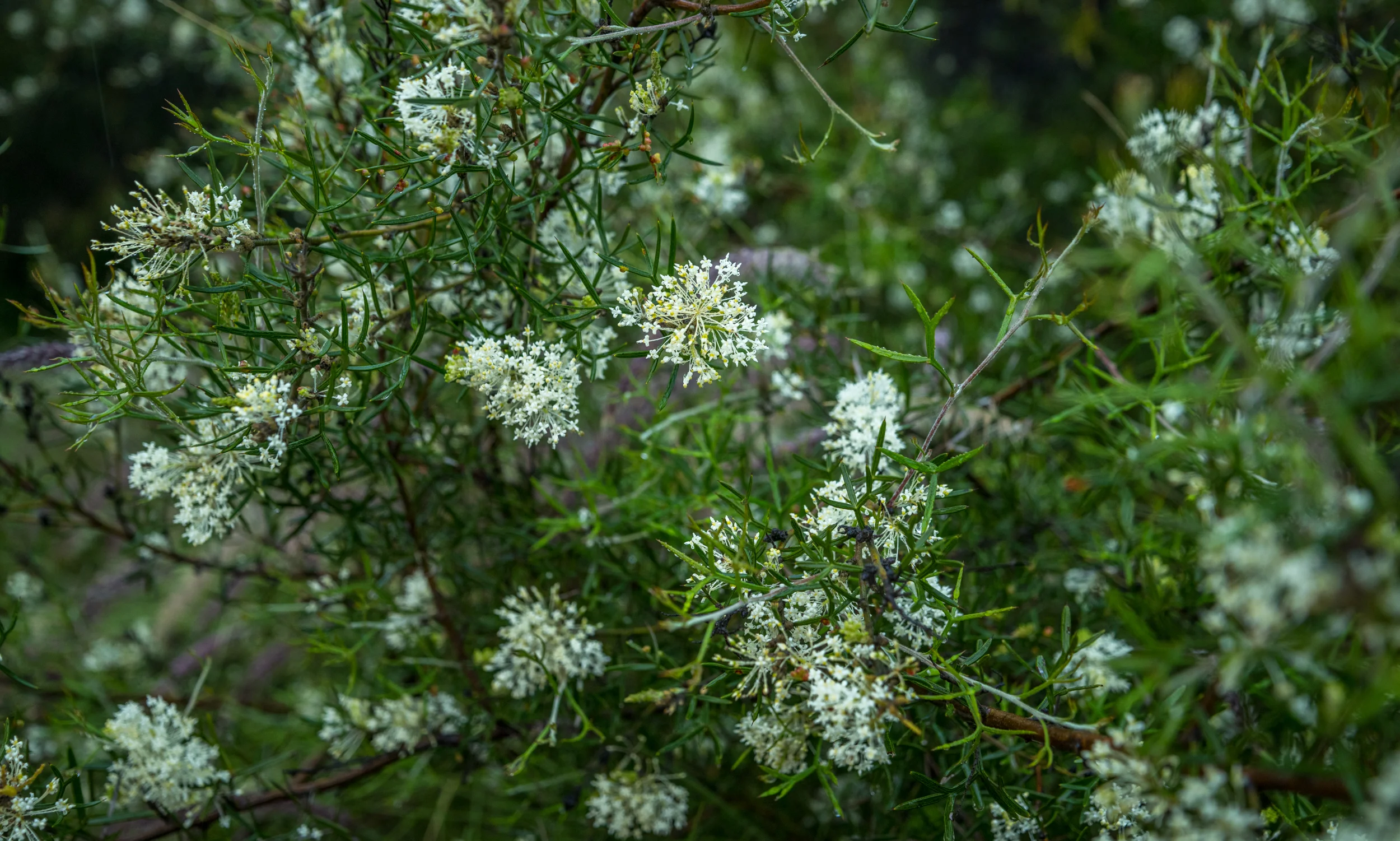 20150307-IMGP1352.jpg