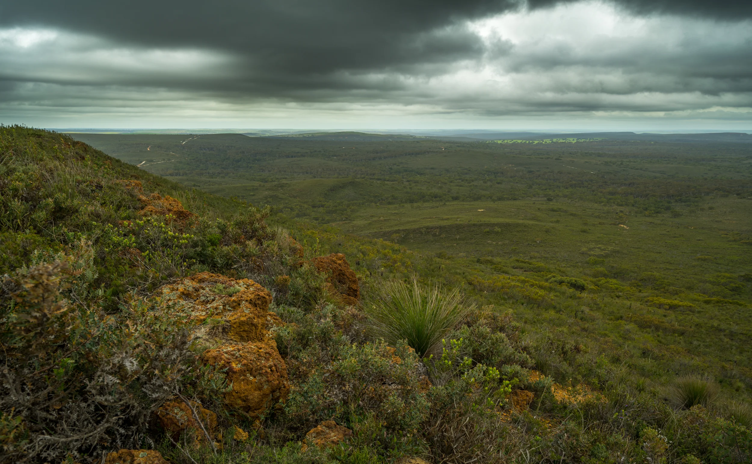 20150306-IMGP1315.jpg