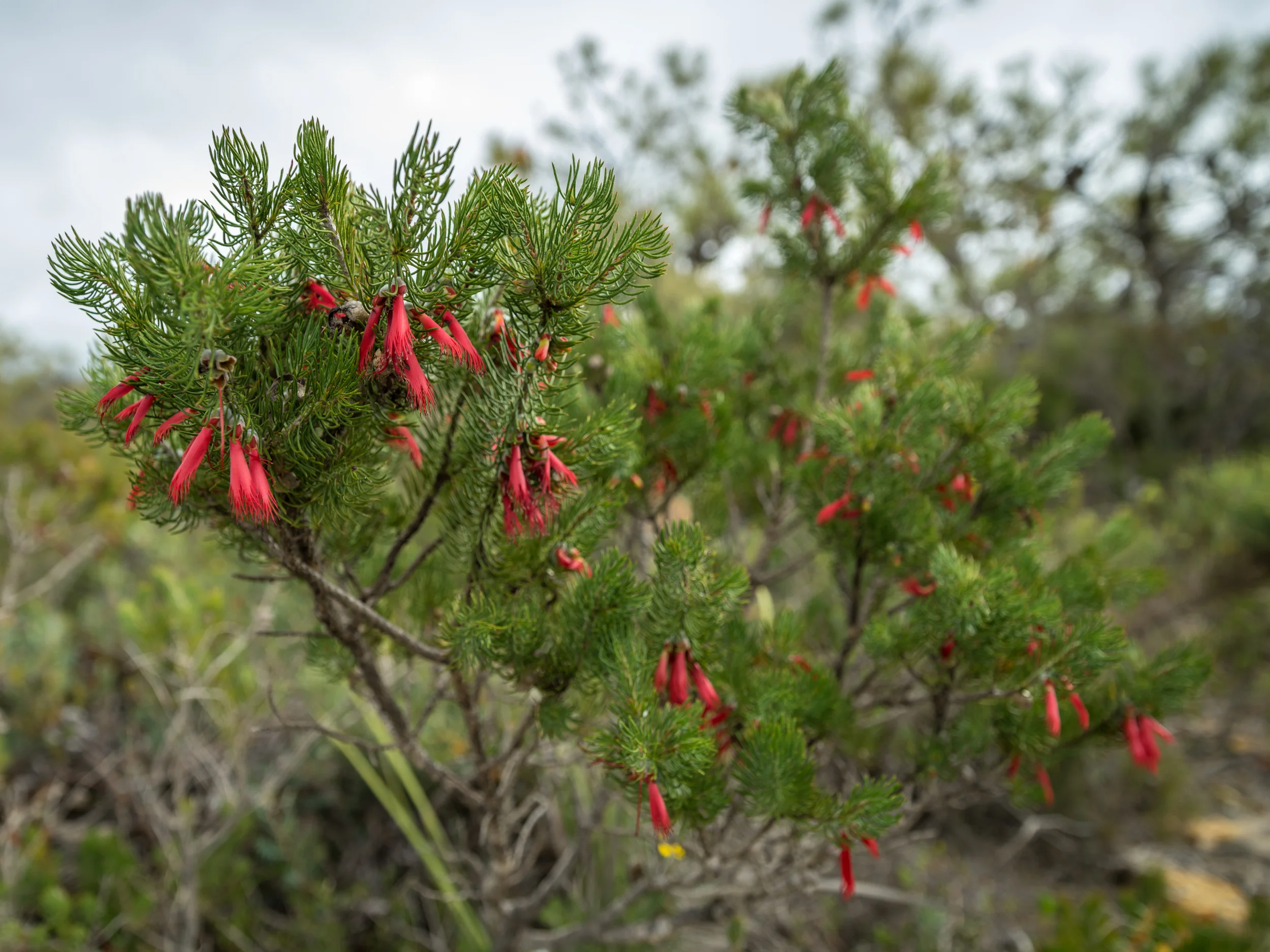 20150306-IMGP1288.jpg