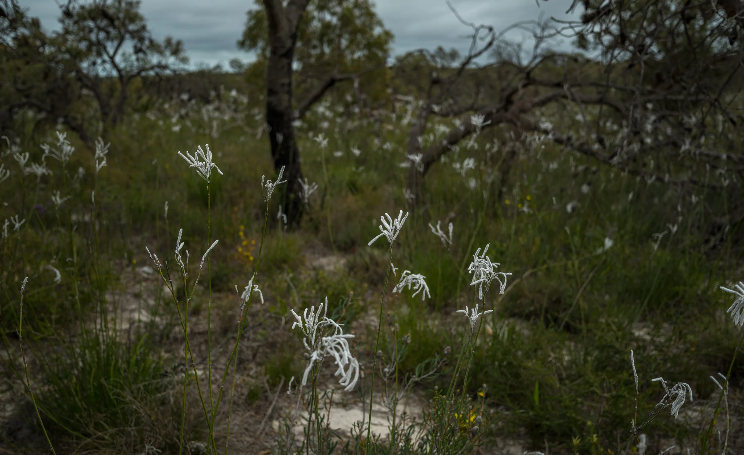 20150306-IMGP1272.jpg