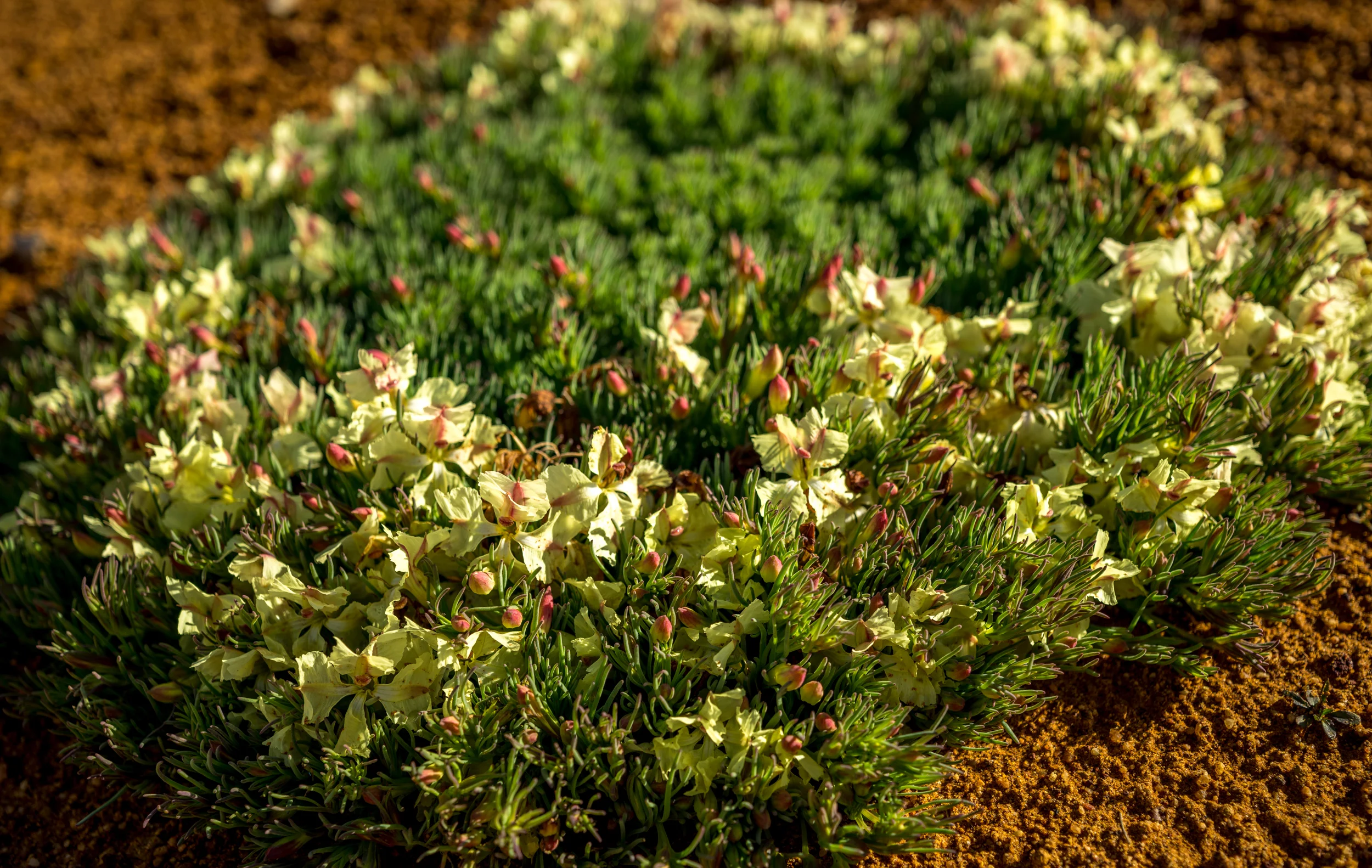 20150308-IMGP1840.jpg