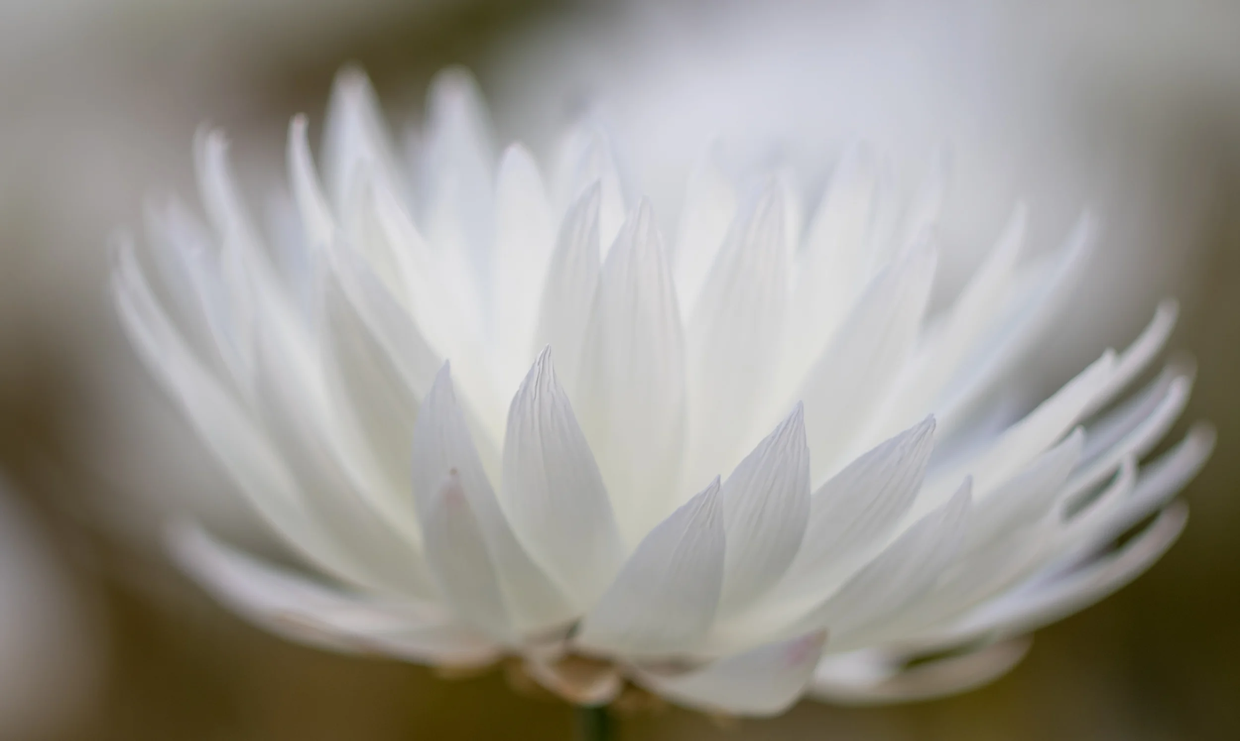 20150309-IMGP1850.jpg