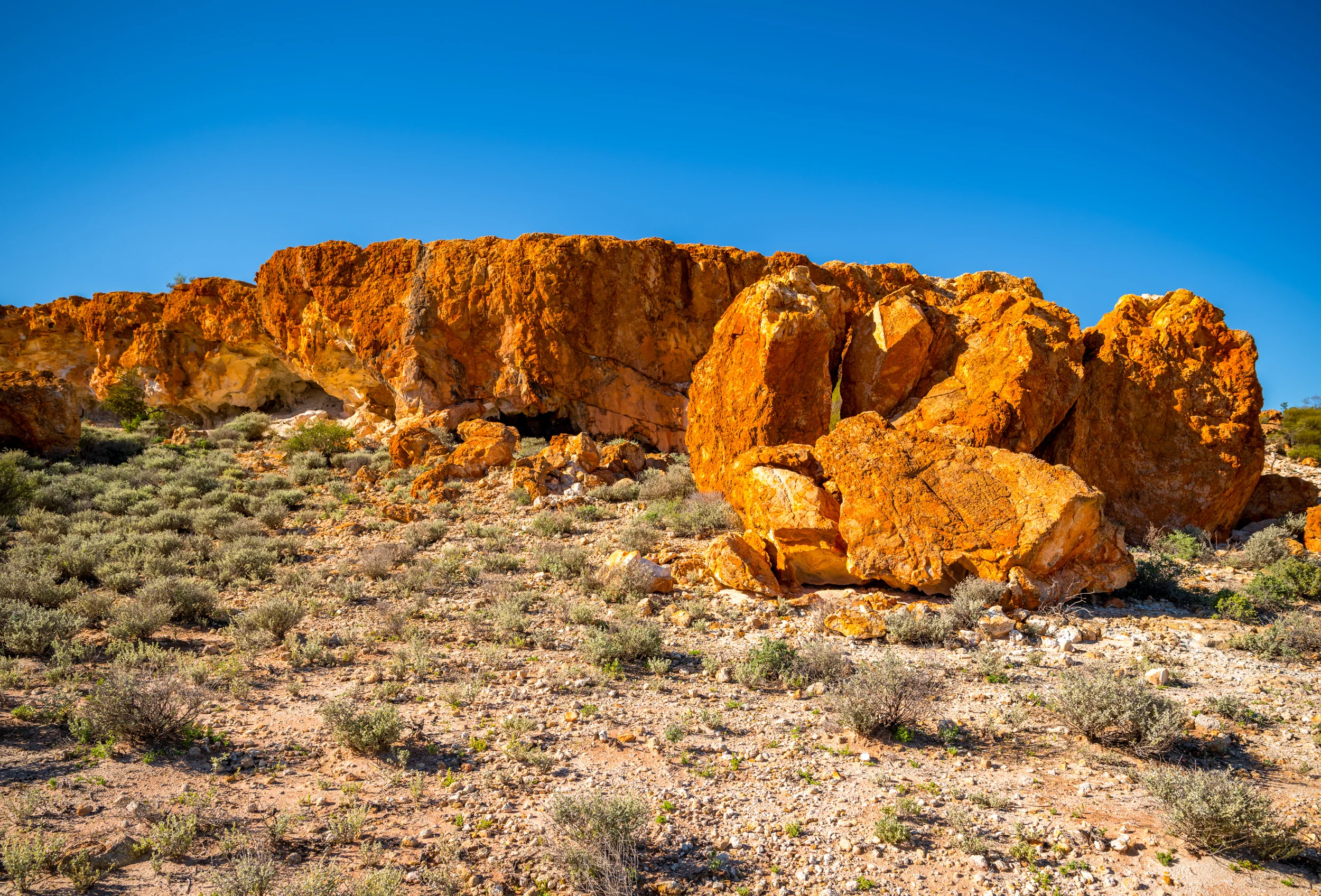 20150309-IMGP1902.jpg
