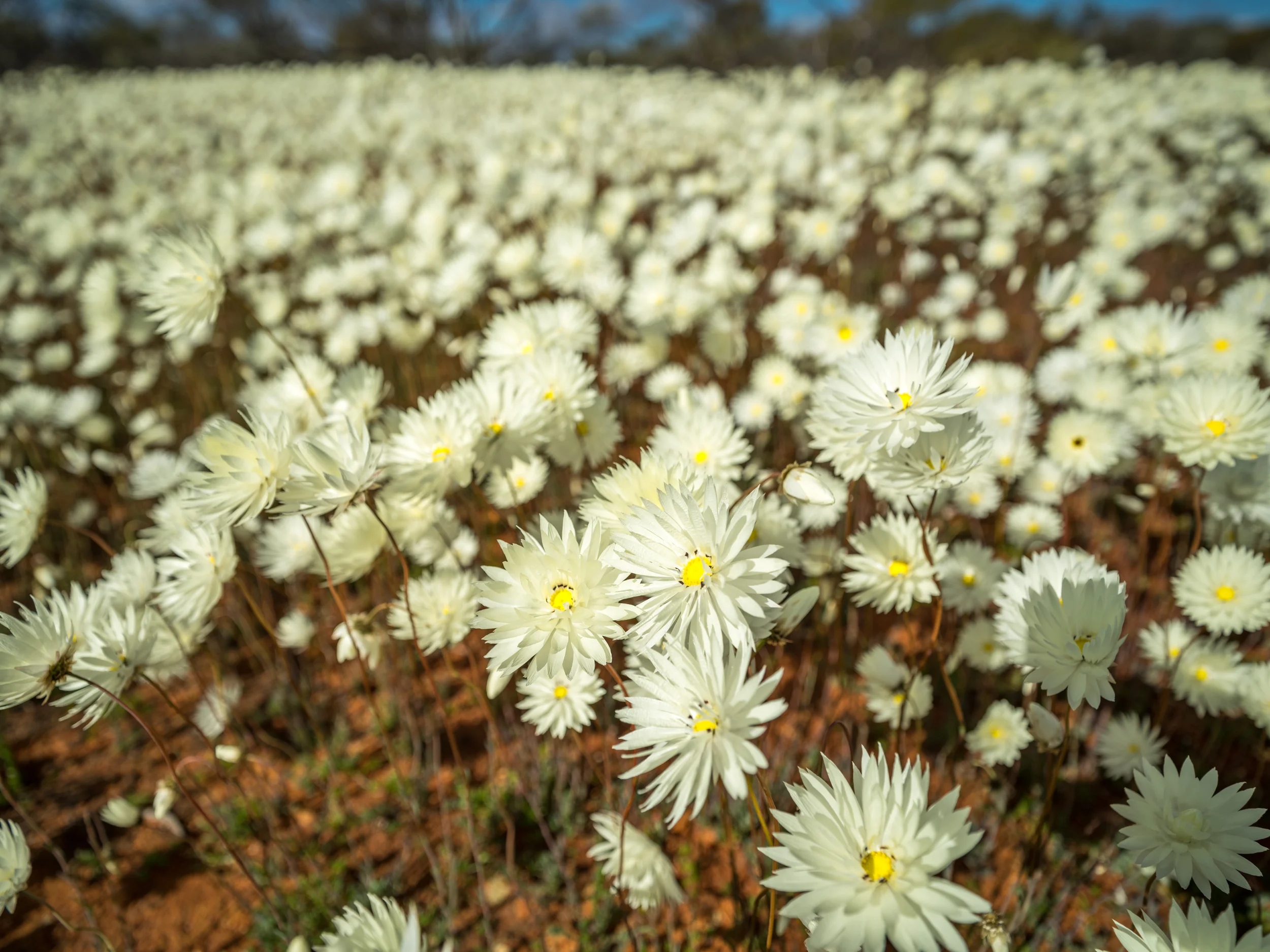 20150309-IMGP1940.jpg