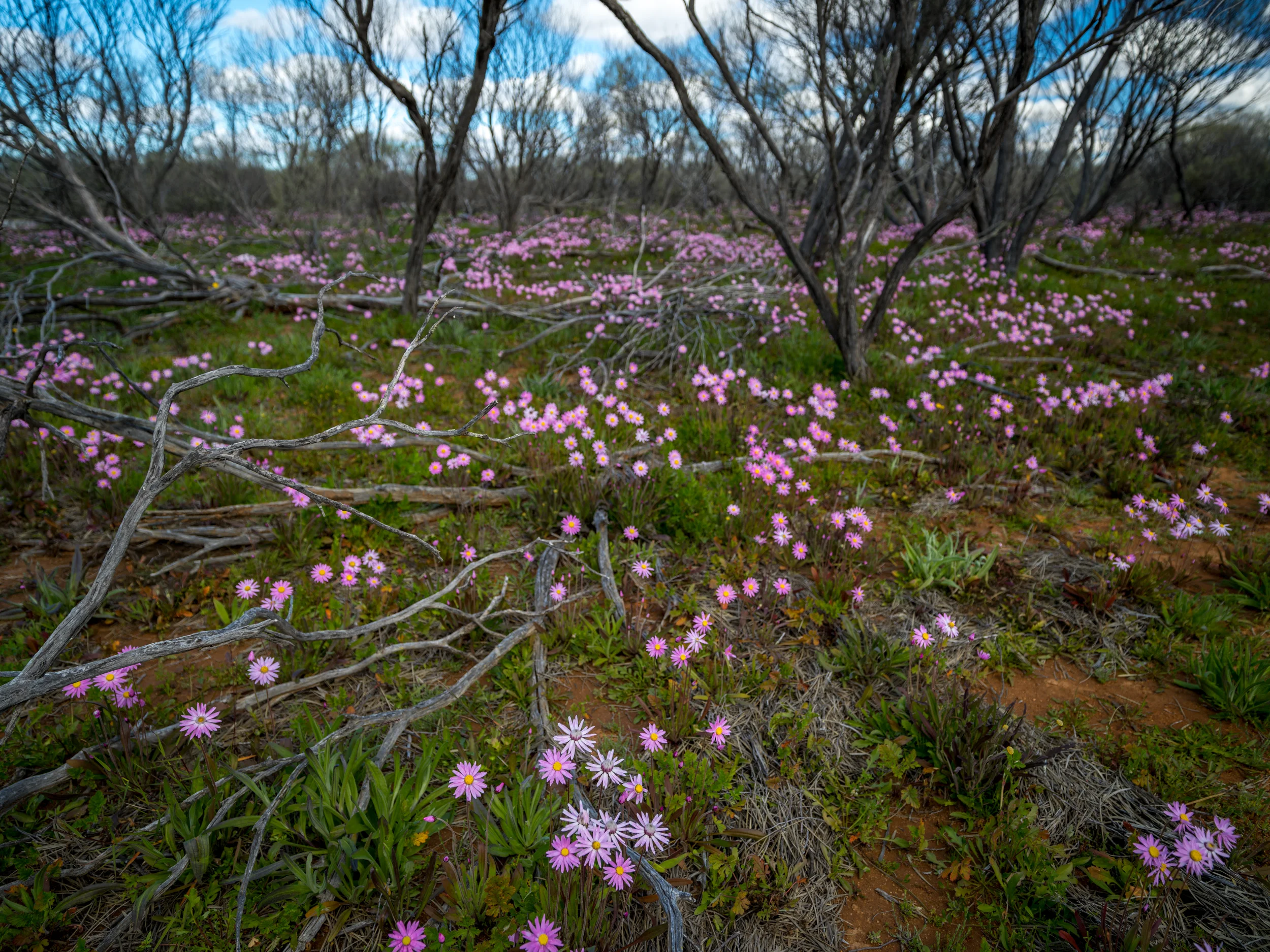 20150309-IMGP1926.jpg