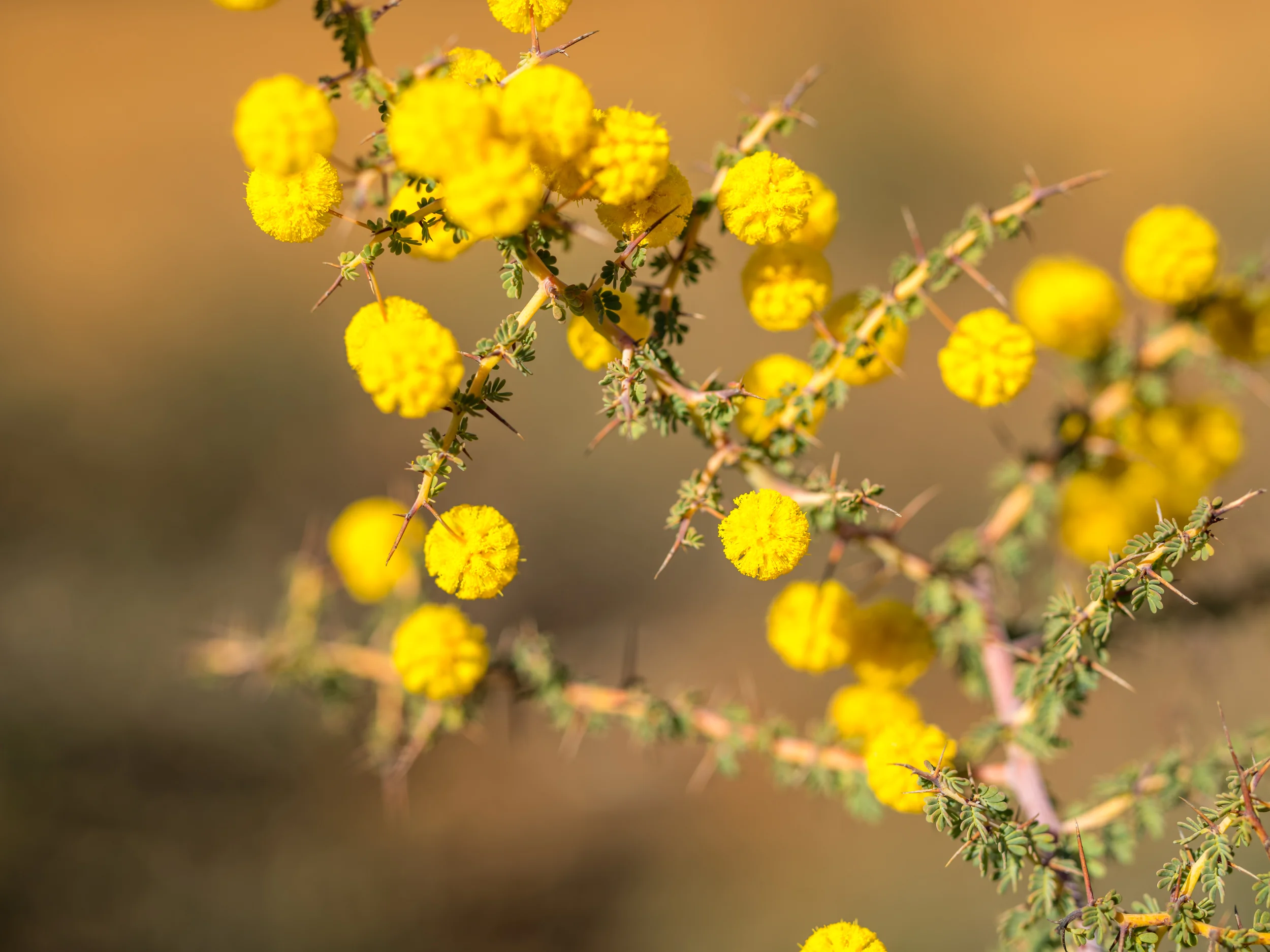 20150310-IMGP2001.jpg