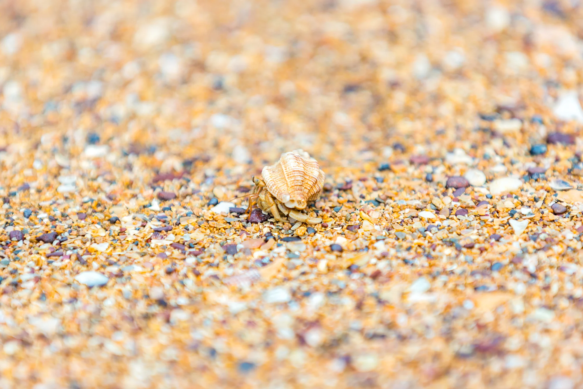Venture North-6802.jpg
