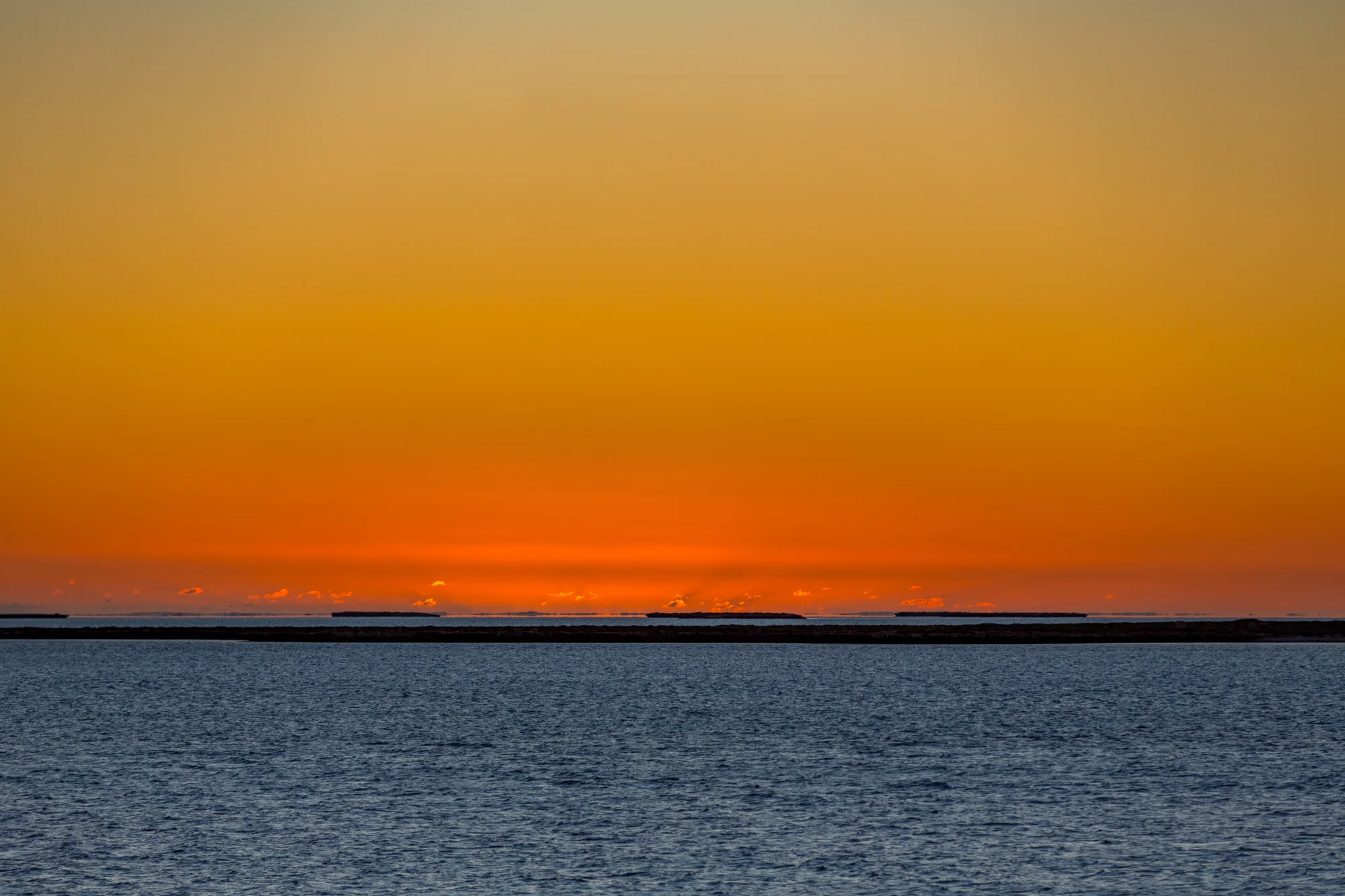 Eco Abrolhos-4999-2.jpg