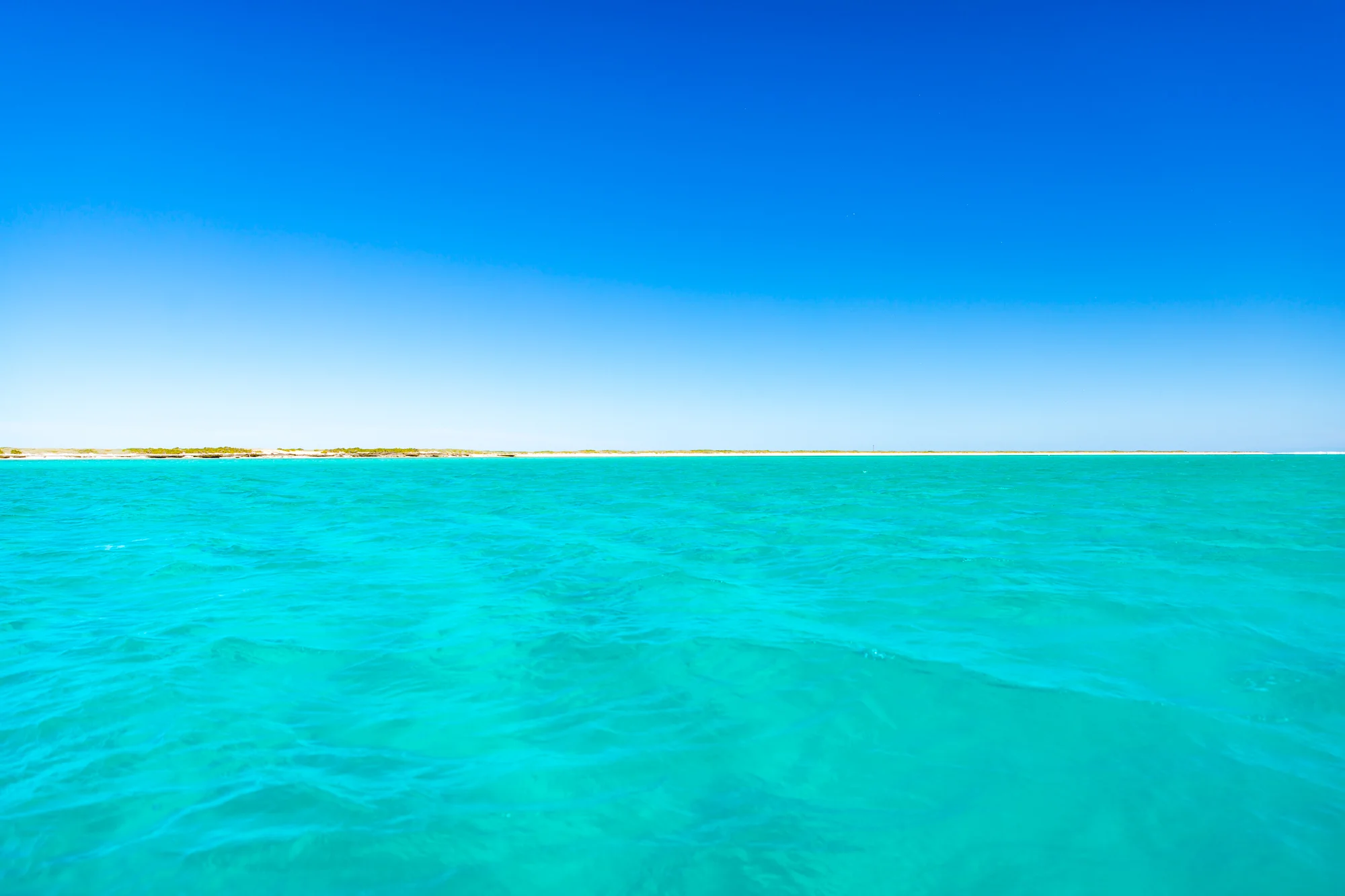 Eco-Abrolhos-4688.jpg
