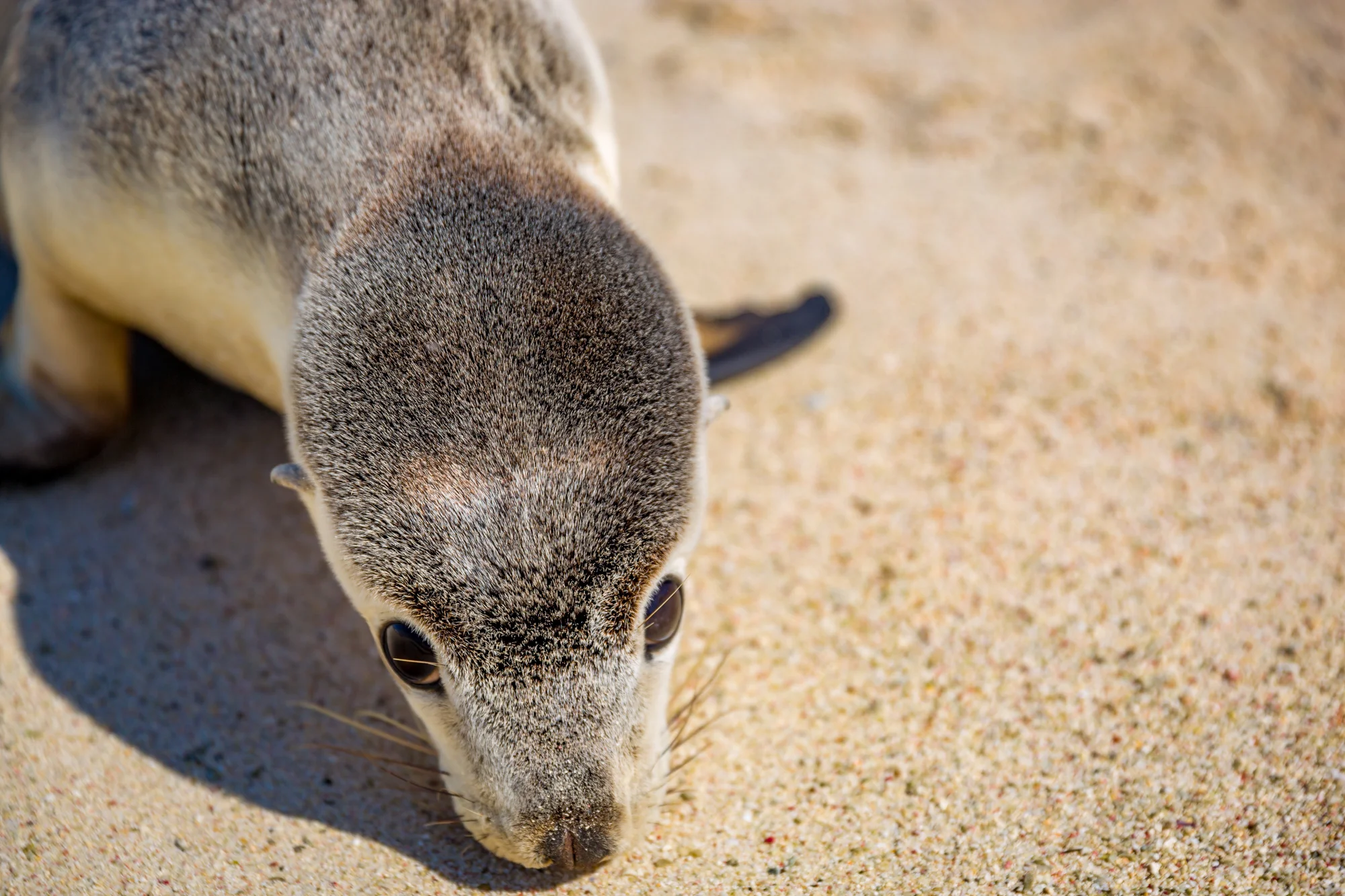Eco-Abrolhos-4973.jpg