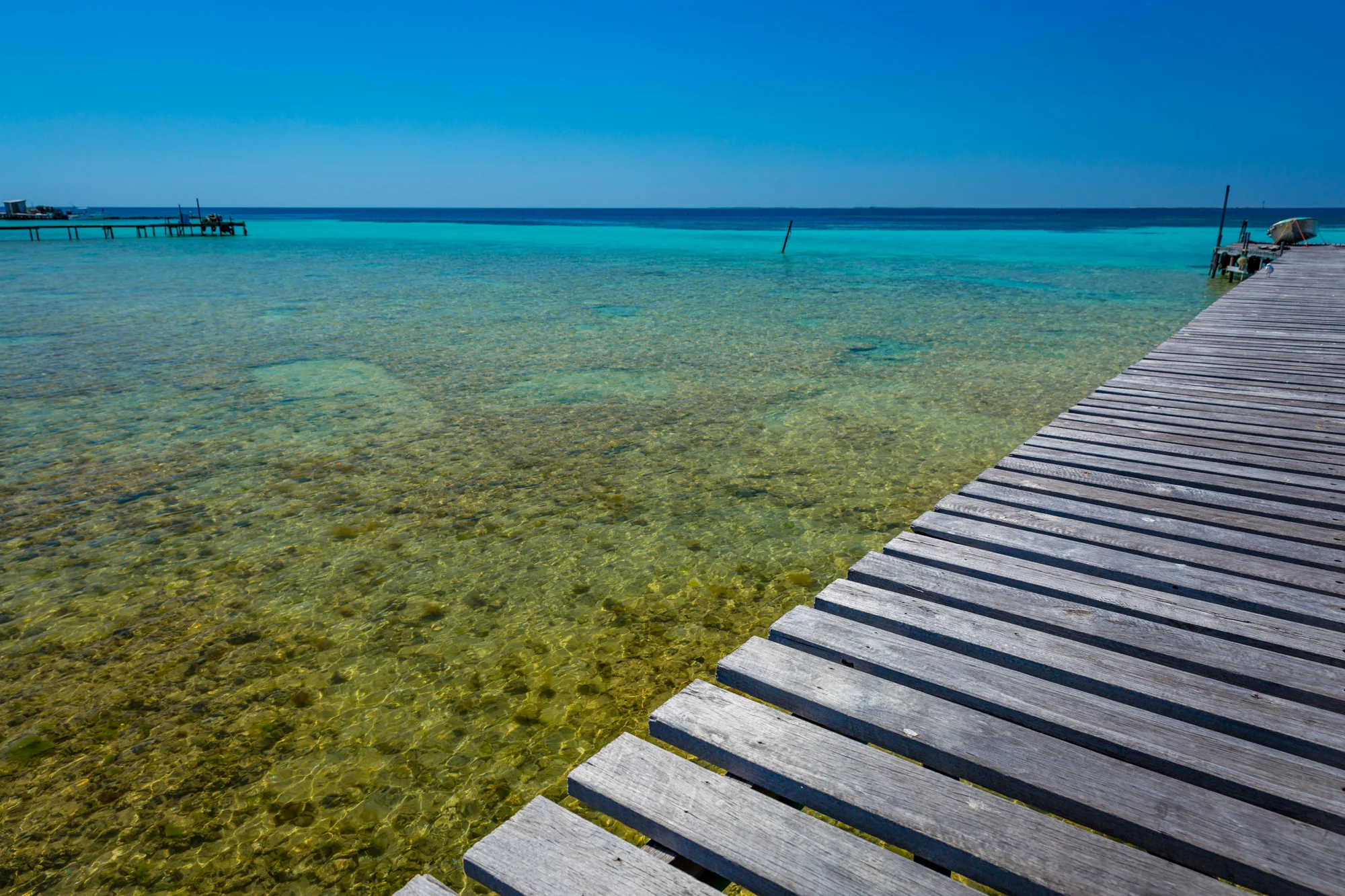 Eco-Abrolhos-4940.jpg